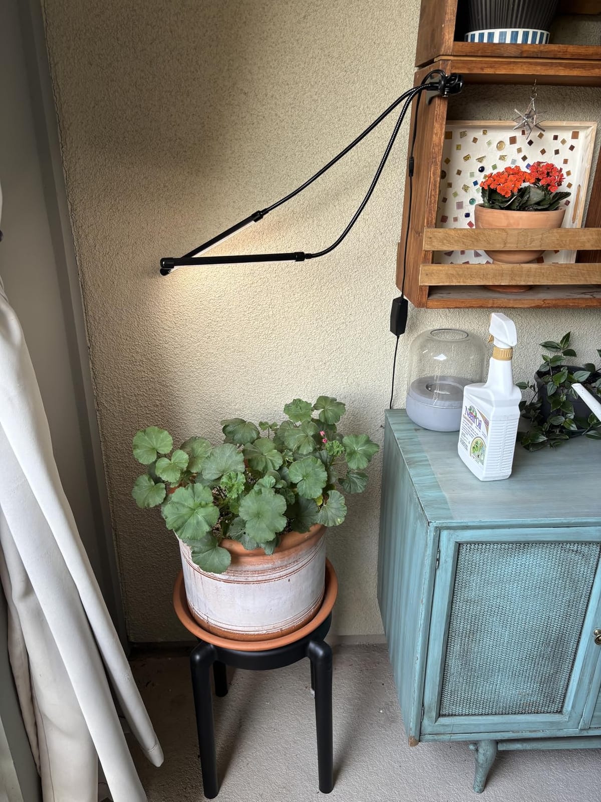 GooingTop Grow Light,6000K Full Spectrum Indoor Plant Growing Lamp customer photo 1