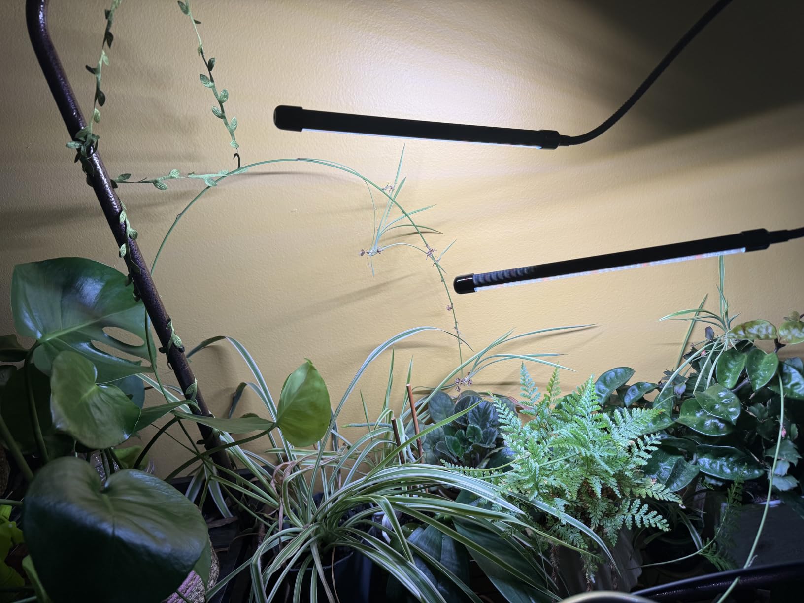 GooingTop Grow Light,6000K Full Spectrum Indoor Plant Growing Lamp customer photo 2
