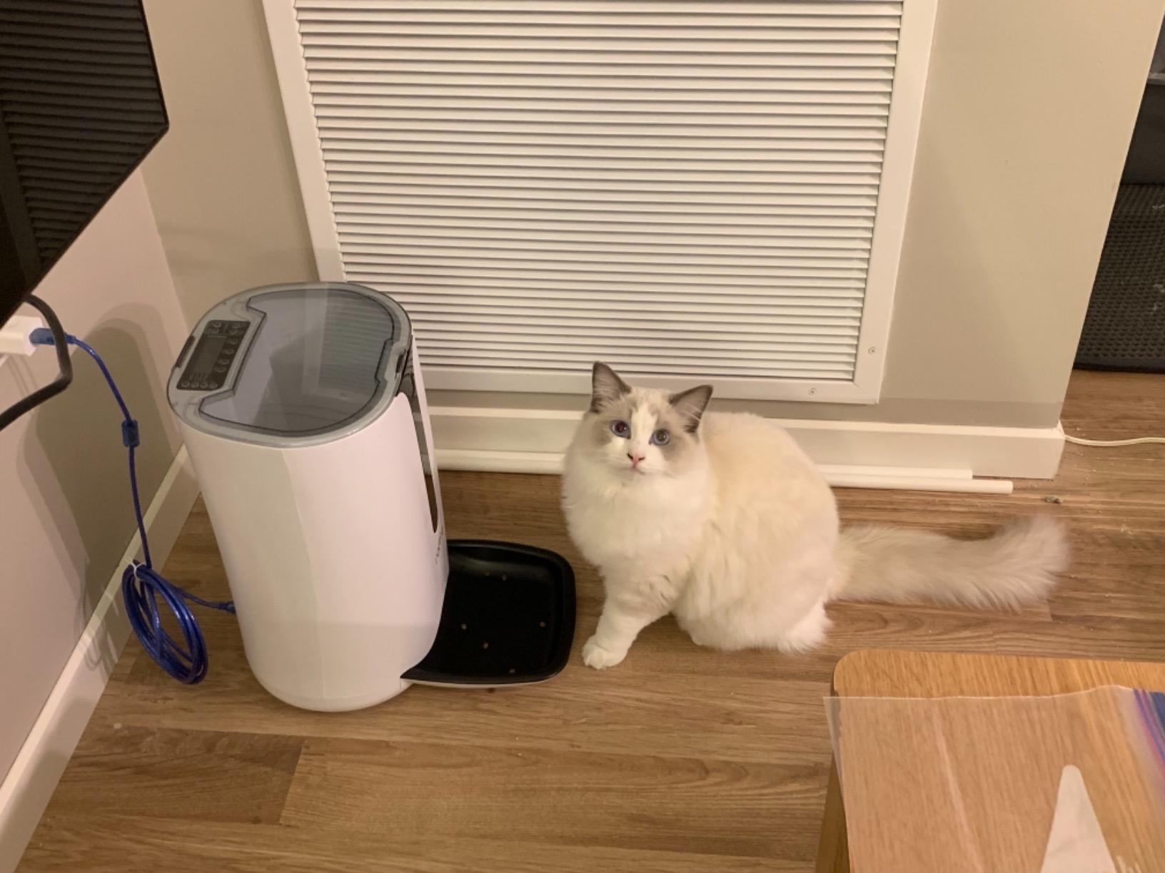 Automatic Cat Feeder, Faroro Dog Food Dispenser for Small Pets with Distribution Alarms, Portion Control, Voice Recorder and Programmable Timer for up to 4 Meals per Day customer photo 2
