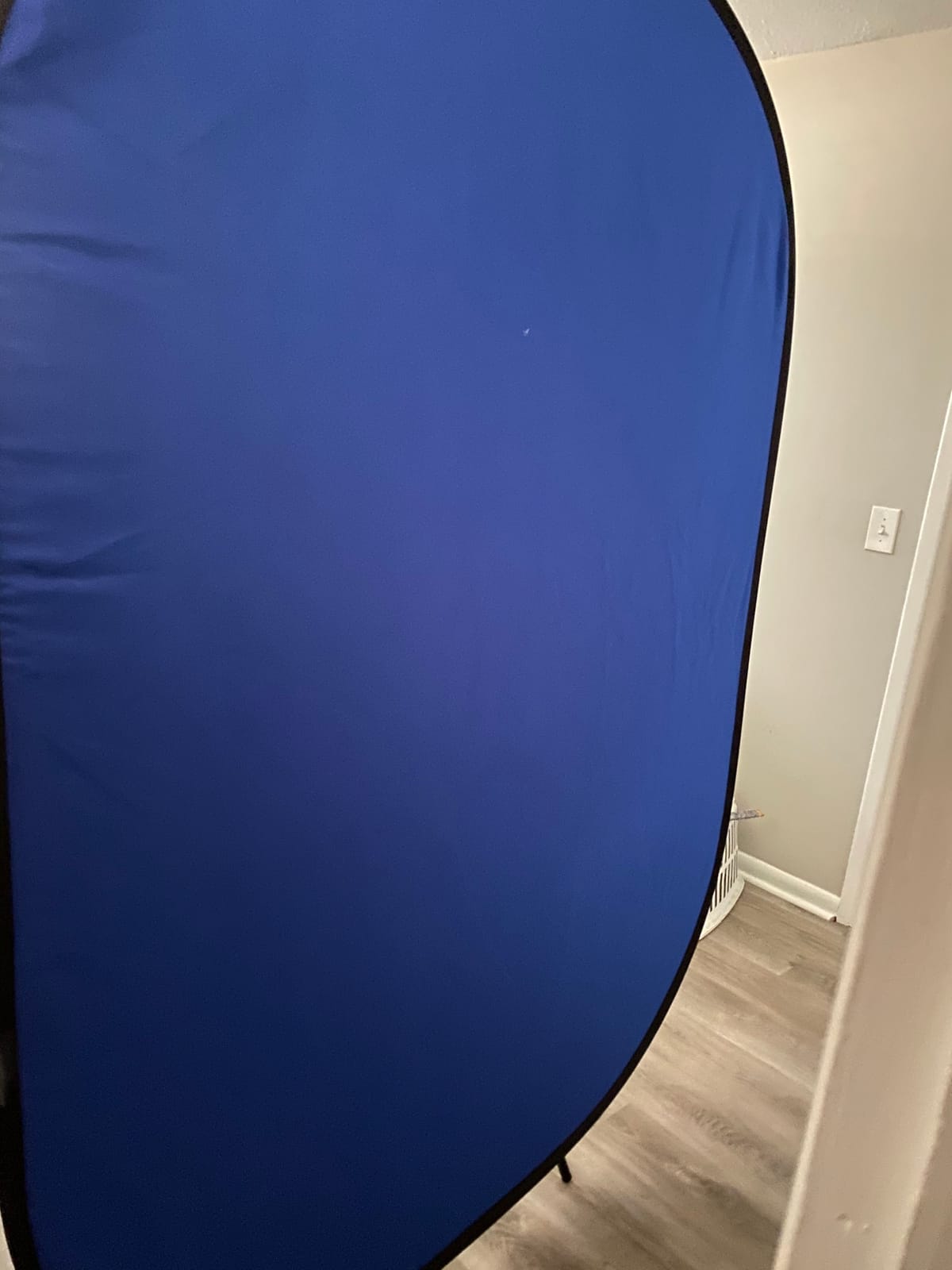 NEEWER 5x7ft/1.5x2m Chromakey Foldable Backdrop with Stand 8.5ft/2.6m customer photo 2
