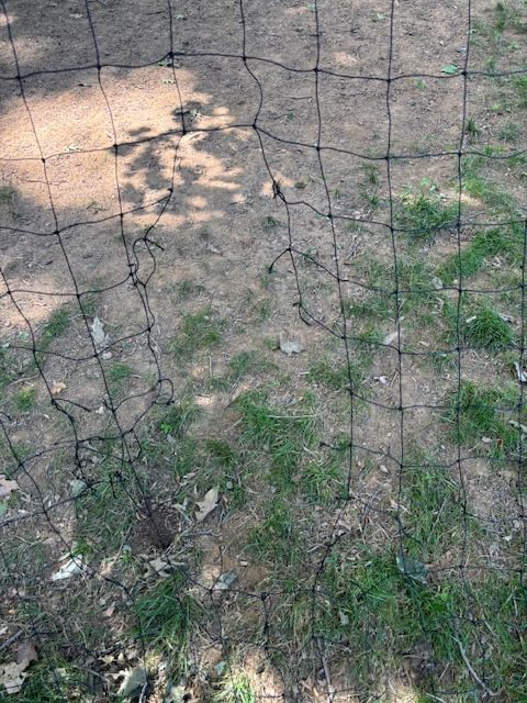 QuickPlay Kickster Ultra Portable Soccer Goals for Backyard Play customer photo 2