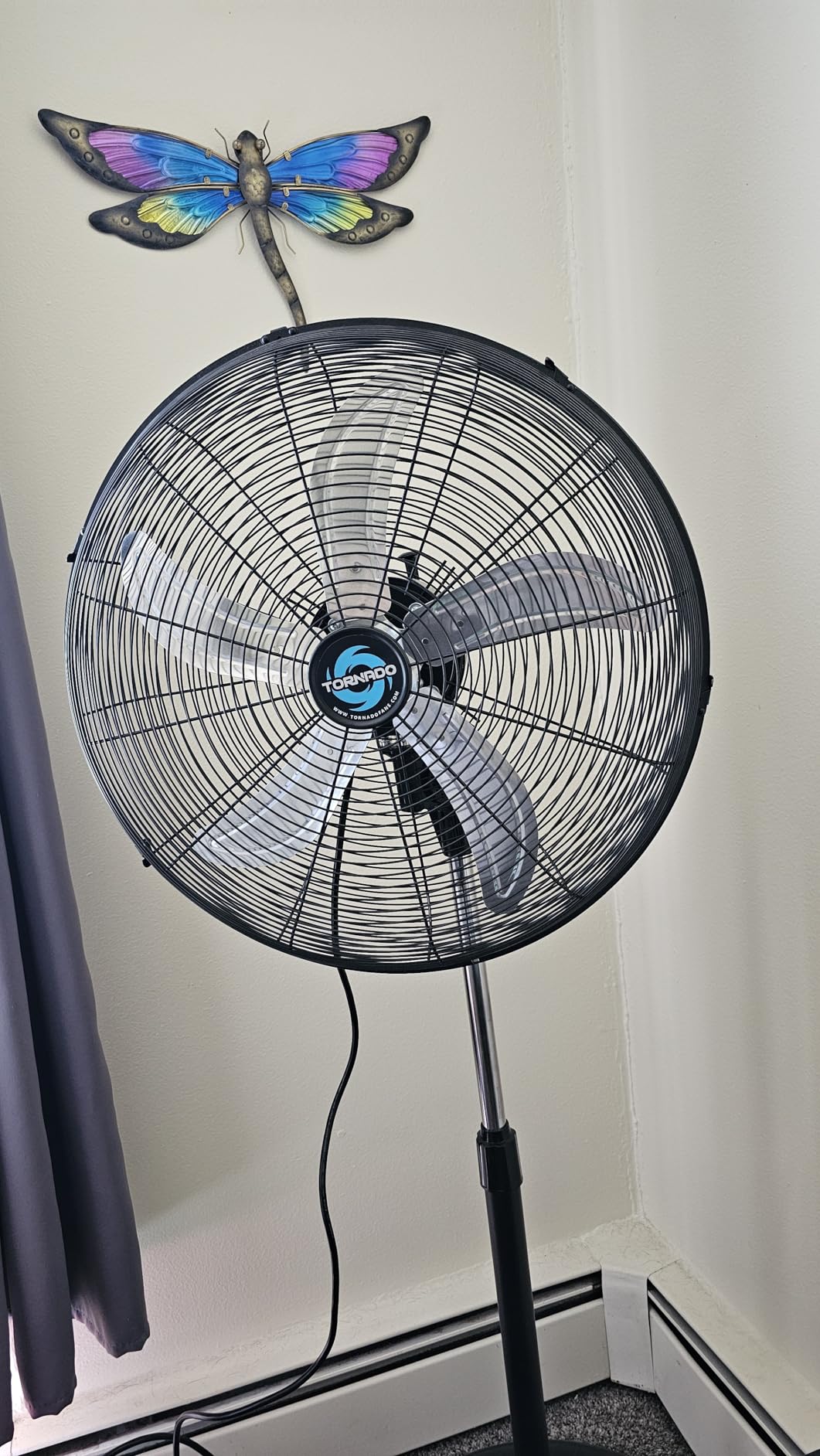 Tornado 20 Inch High Velocity Metal Oscillating Pedestal Fan Commercial, Industrial Use 3 Speed 5000 CFM 1/6 HP 6.6 FT Cord UL Safety Listed customer photo 1