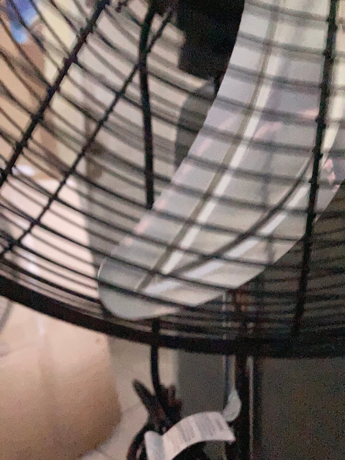 Tornado 20 Inch High Velocity Metal Oscillating Pedestal Fan Commercial, Industrial Use 3 Speed 5000 CFM 1/6 HP 6.6 FT Cord UL Safety Listed customer photo 2
