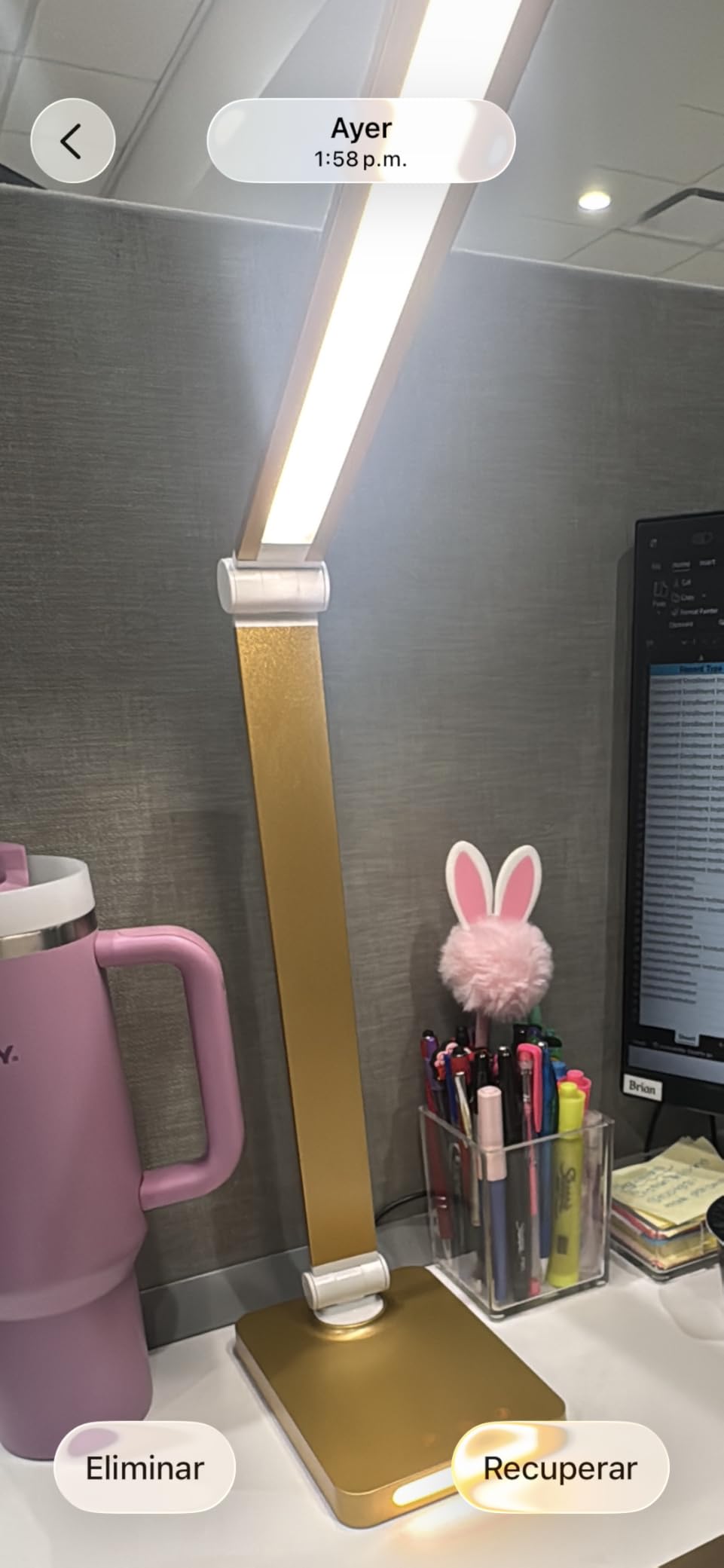 LED Desk Lamp with USB Ports,Touch Desk Lamps for Home Office with 5 Modes customer photo 2