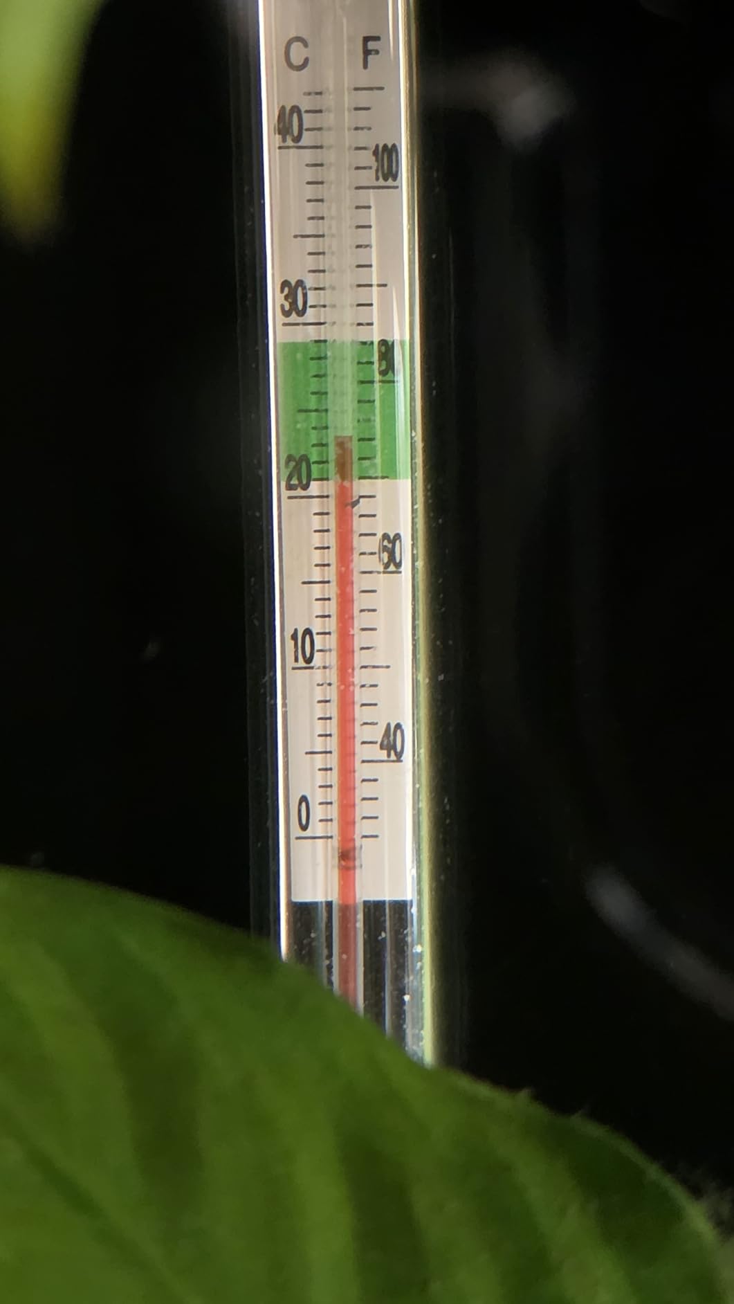 DaToo Mini Aquarium Heater 25W Small Fish Tank Heater 25 Watt with Free Thermometer Sticker customer photo 2