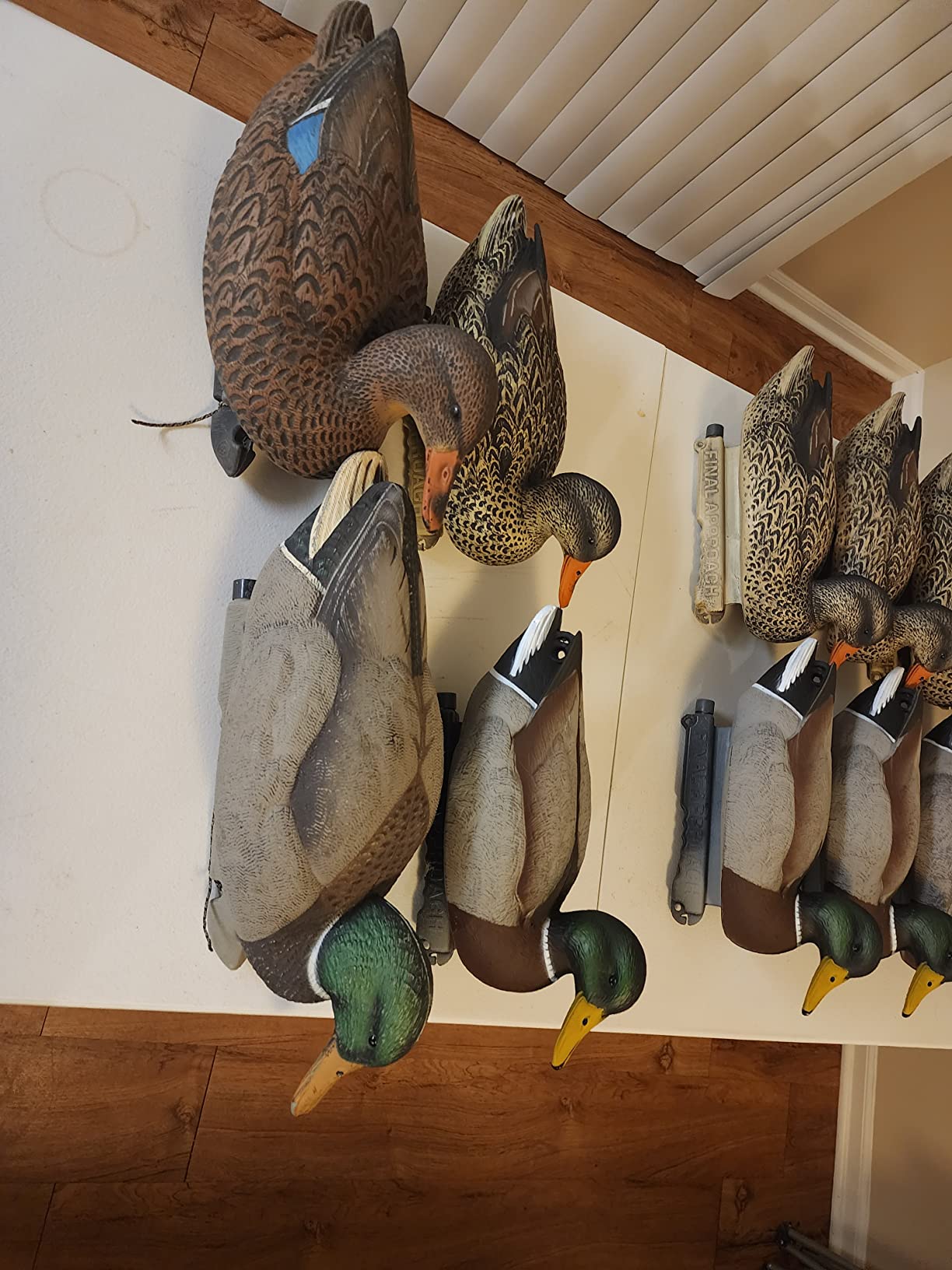Final Approach Last Pass Mallard Floaters, Decoy 12 Pack customer photo 1