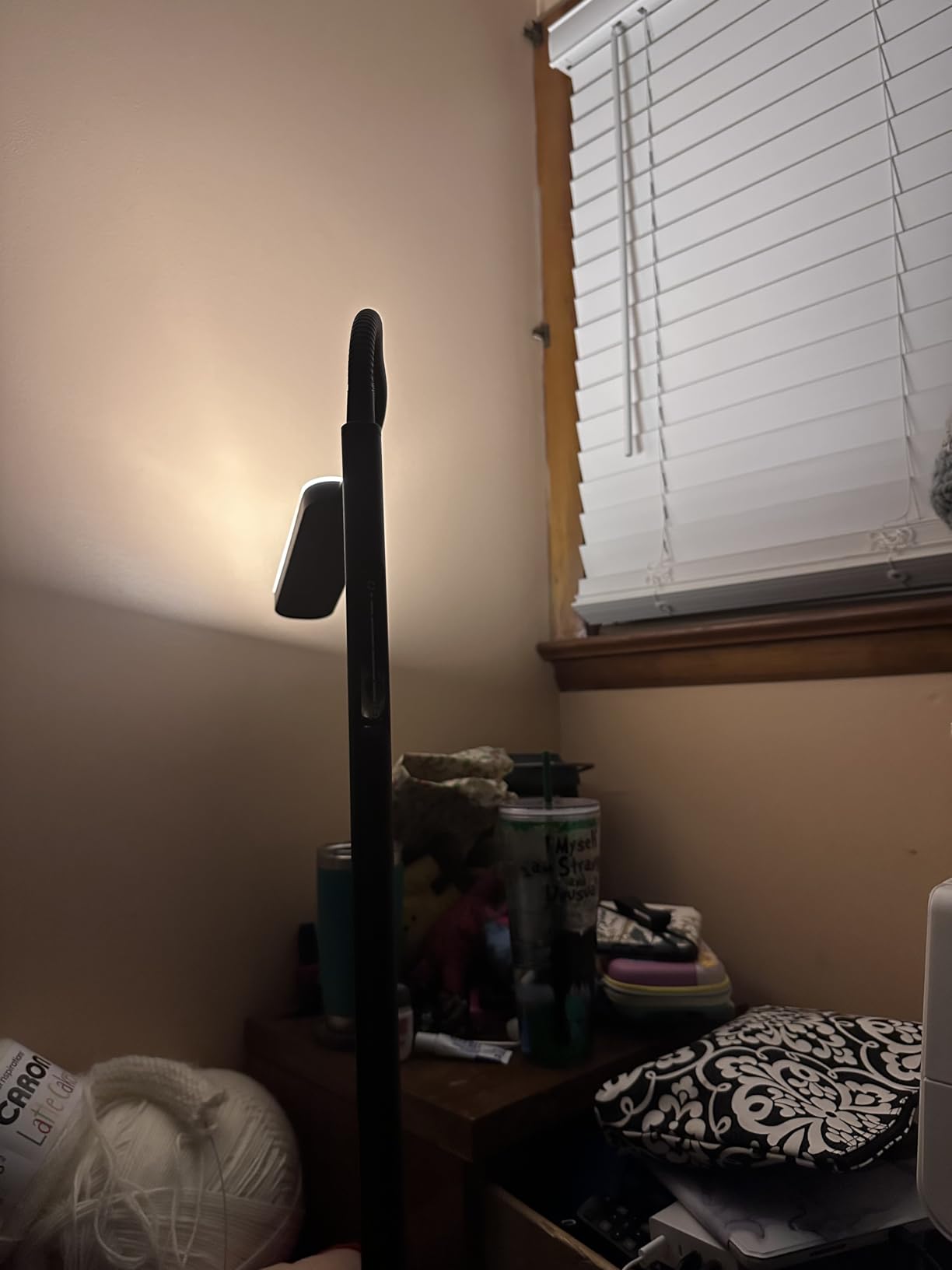 Wio-Mio Floor Lamp, 15W/1000LM Bright LED Floor Lamp with Stepless Dimming customer photo 1