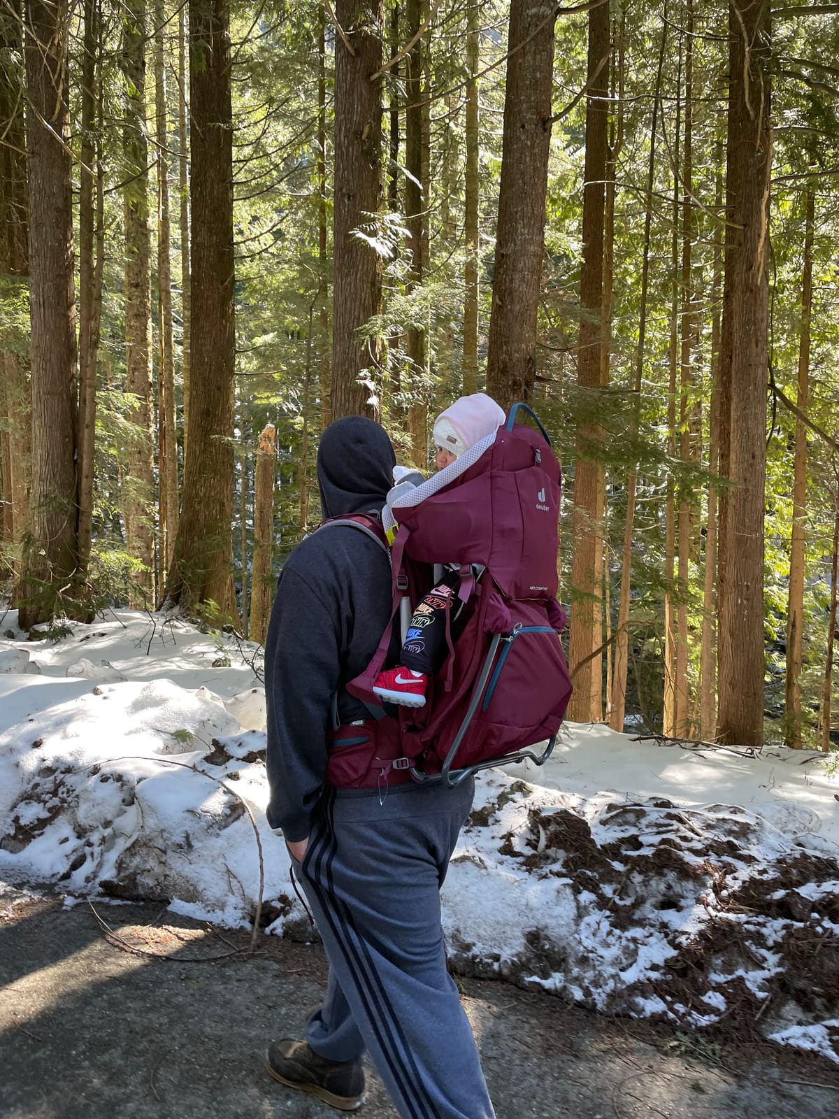 Deuter Kid Comfort Child Carrier and Backpack for Travel & Hiking with Toddlers customer photo 1