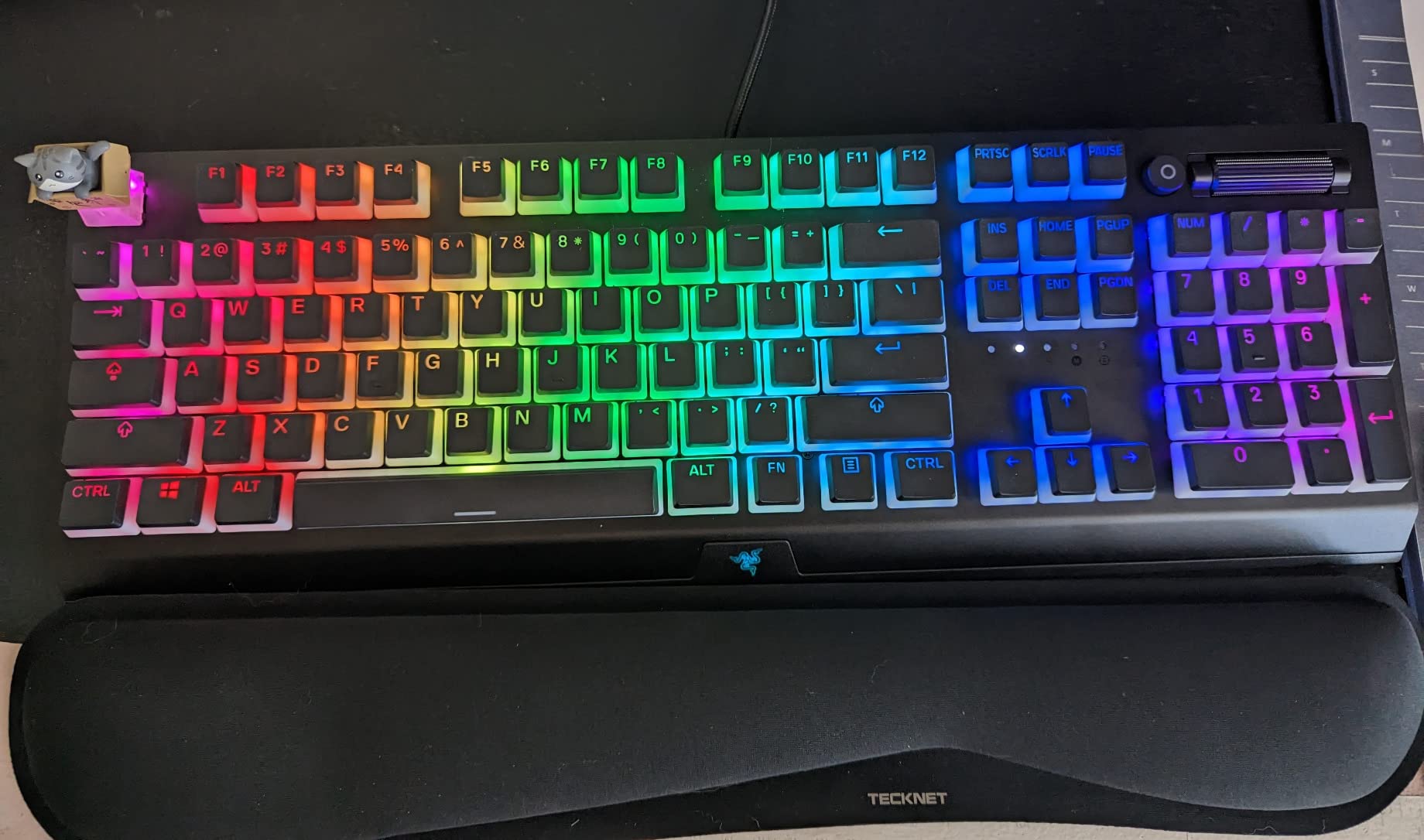 Razer BlackWidow V3 Mechanical Gaming Keyboard, Green Mechanical Switches, Tactile & Clicky, Chroma RGB Lighting, Compact Form Factor customer photo 2