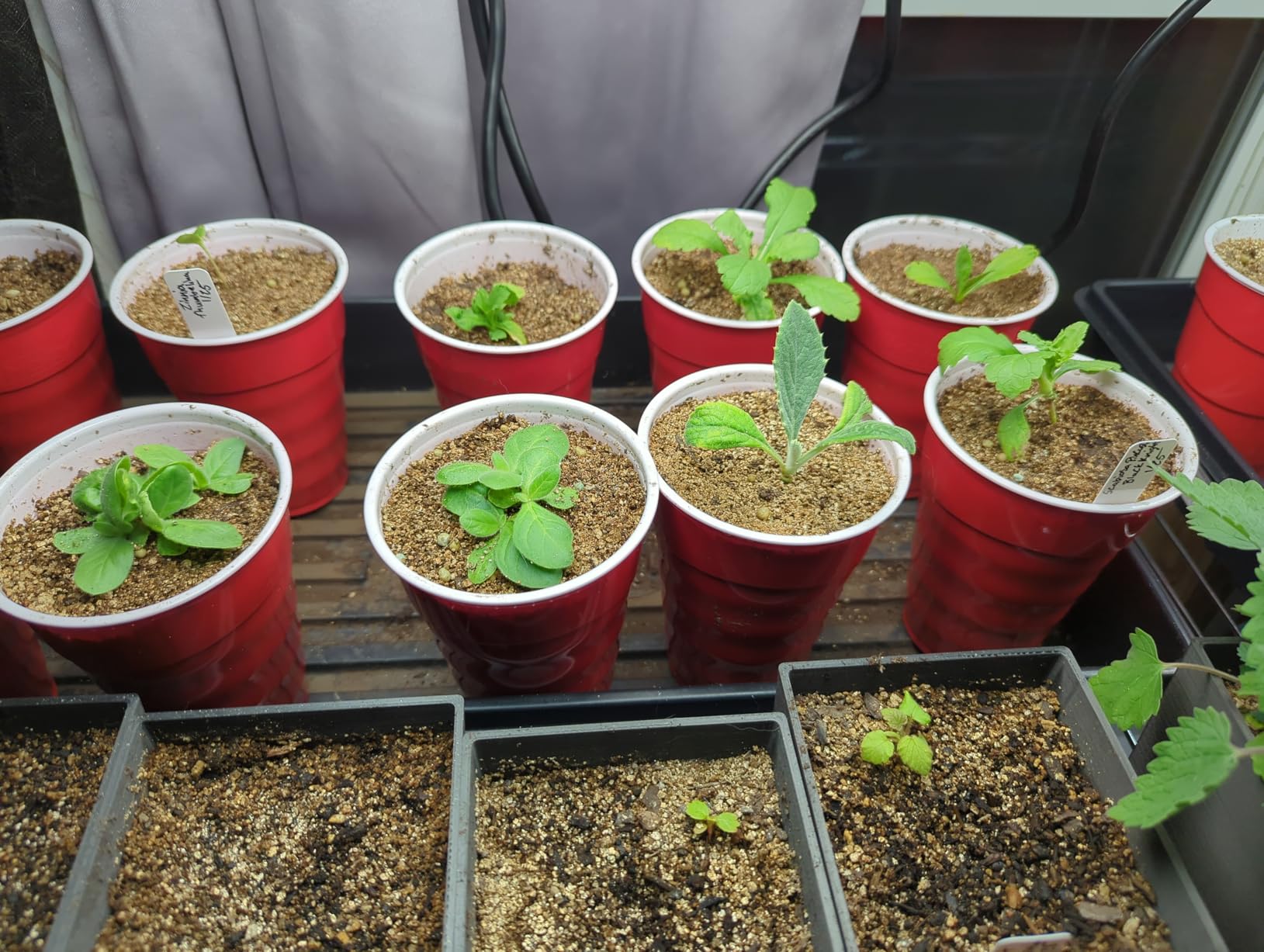 VIVOSUN LumaLight 400W LED Grow Light, Full Spectrum Plant Light customer photo 2