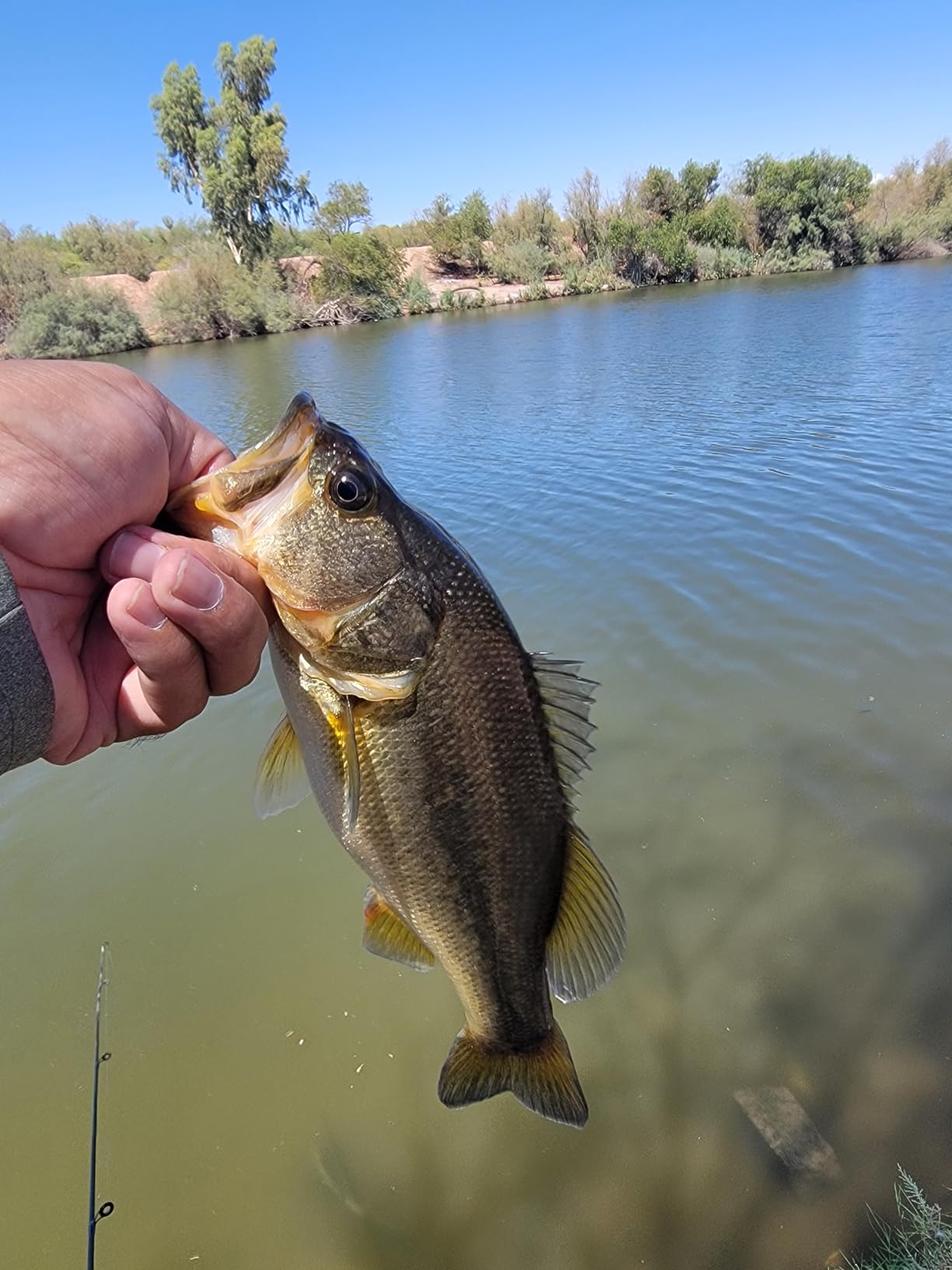 Fishing Baitcasting Reel, Baitcaster Fishing Reels with 18+1BB Stainless Steel Ball Bearings,Magnetic Braking System for Fishing Saltwater Freshwater, Available in 7.2:1 customer photo 2