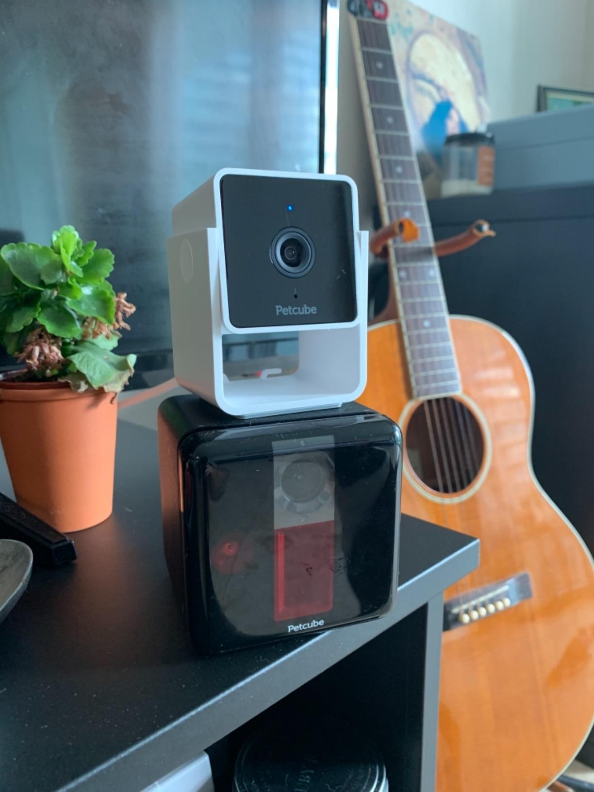 Petcube Cam (2-Pack) – Wi-Fi Pet & Security Camera with App customer photo 1