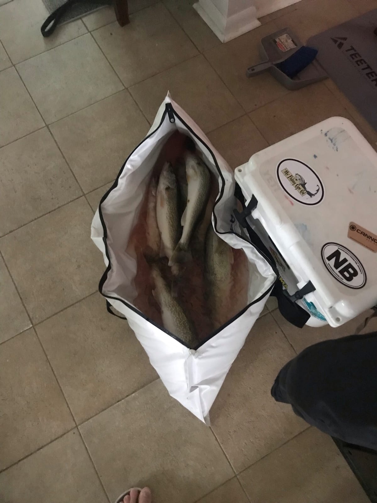 Buffalo Gear Insulated Fish Cooler Bag Portable Fish Kill Bag Keep Ice-cold More Than 48 Hours customer photo 1