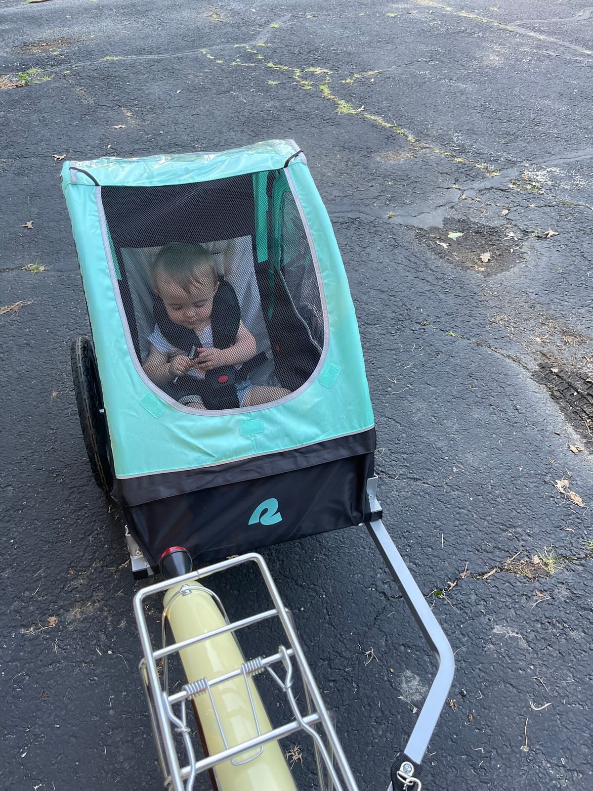 Retrospec Rover Kids Bicycle Trailer Single and Double Passenger Children’s Foldable customer photo 2
