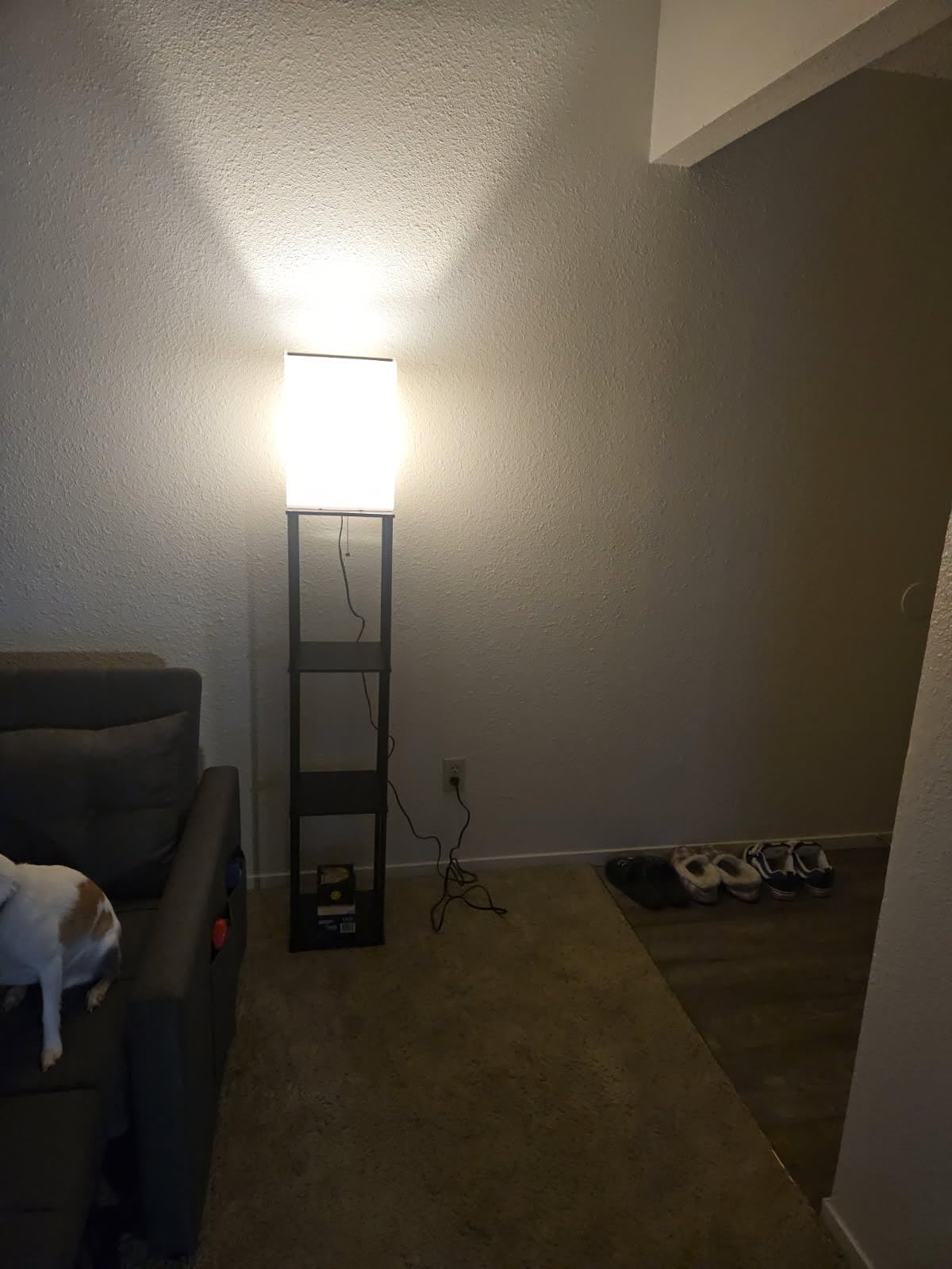 SUNMORY Floor Lamp with Shelves, Standing Lamps for Living Room, Black customer photo 1