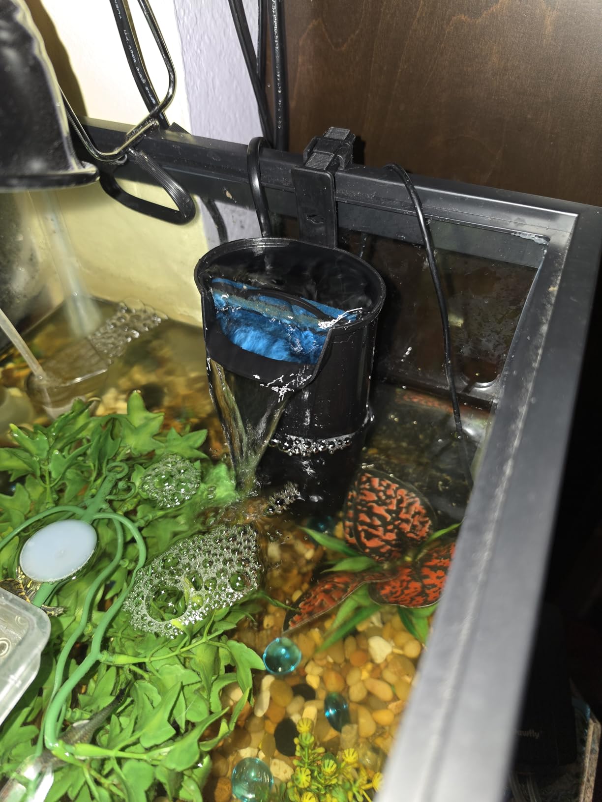 PULACO Aquarium Internal Filter 3 to 20 Gallons, for Turtle Tanks, Reptiles, Amphibians, Frog, Cichlids, Newt or Fish Tank customer photo 2