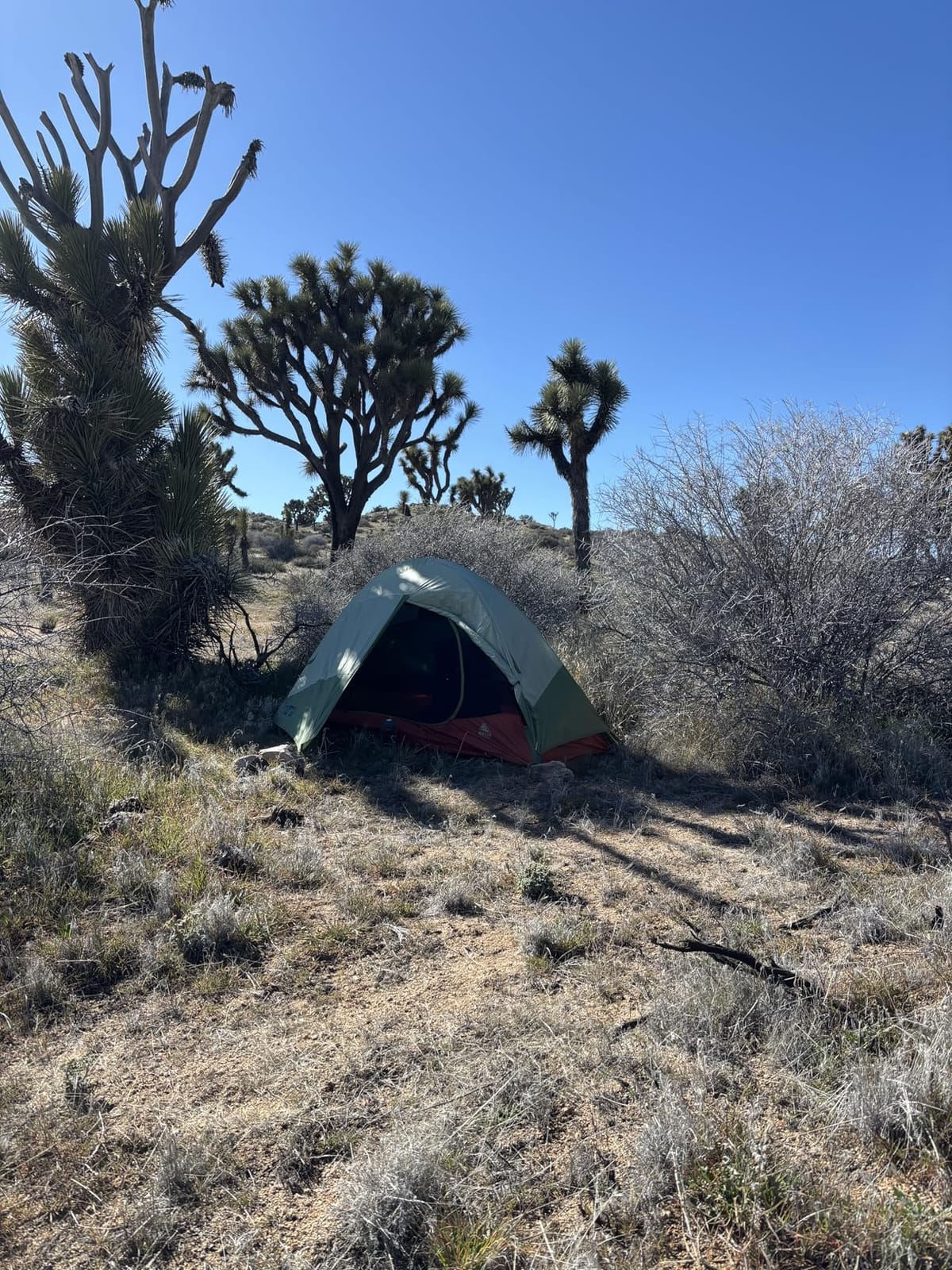 Kelty Discovery Trail Backpacking Tent, Waterproof Rainfly customer photo 1