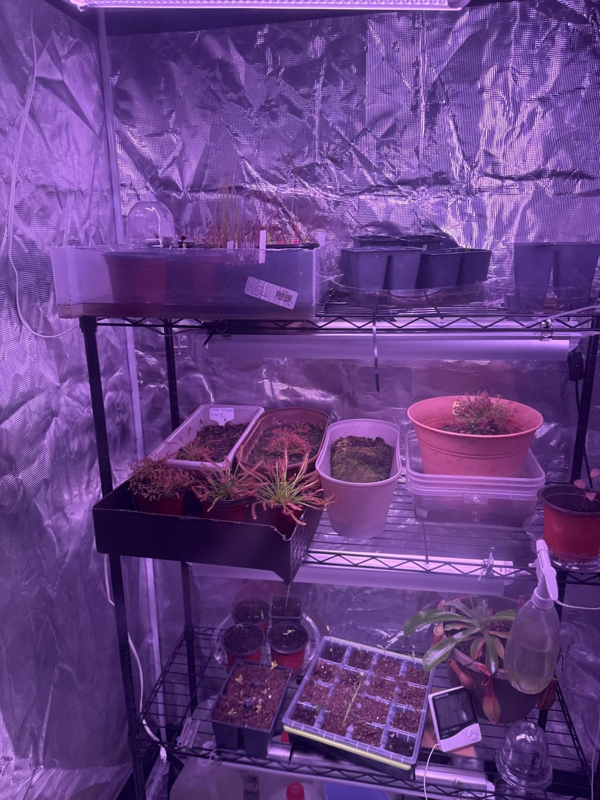 Grow Light, 2ft T8,100W(4 x 25W, 600W Equivalent), Super Bright, Full Spectrum Sunlight Plant Light, LED Grow Light Strips, Grow Lights for Indoor Plants,Greenhouse,4-Pack customer photo 1