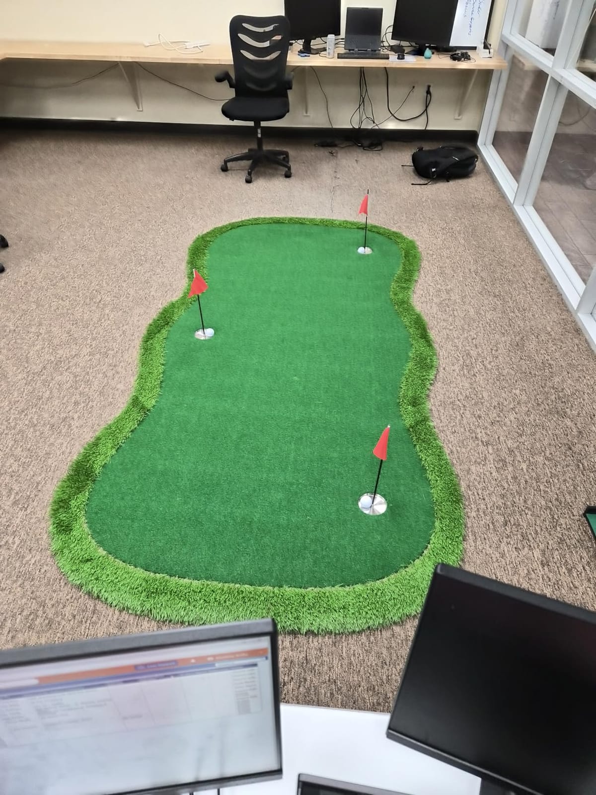 Chriiena Golf Putting Green,Large Practice Putting Mat for Indoor Outdoor customer photo 1