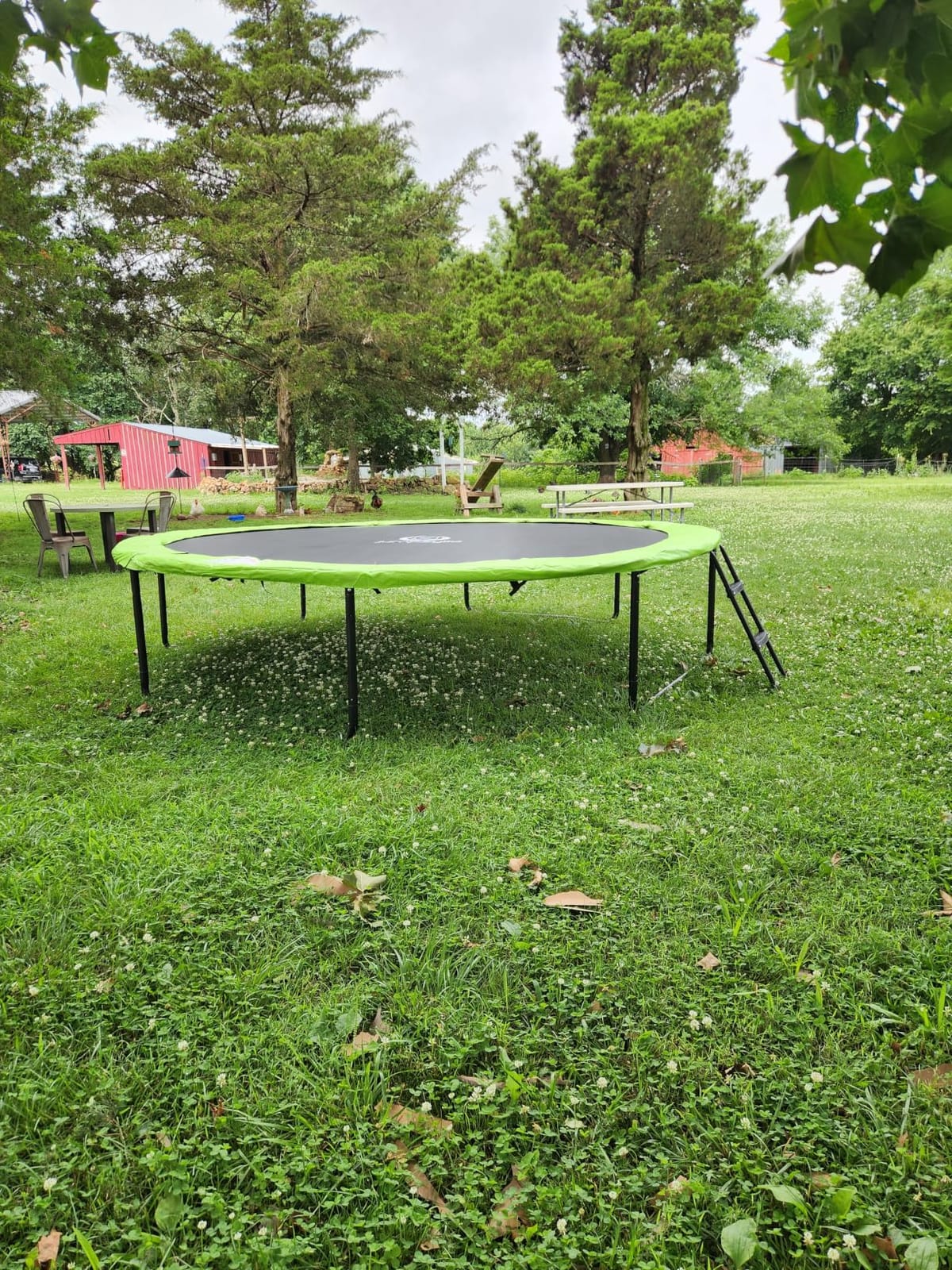 Jumpzylla Outdoor Trampoline with Net for Kids 8FT 10FT 12FT 14FT 15FT 16FT customer photo 2