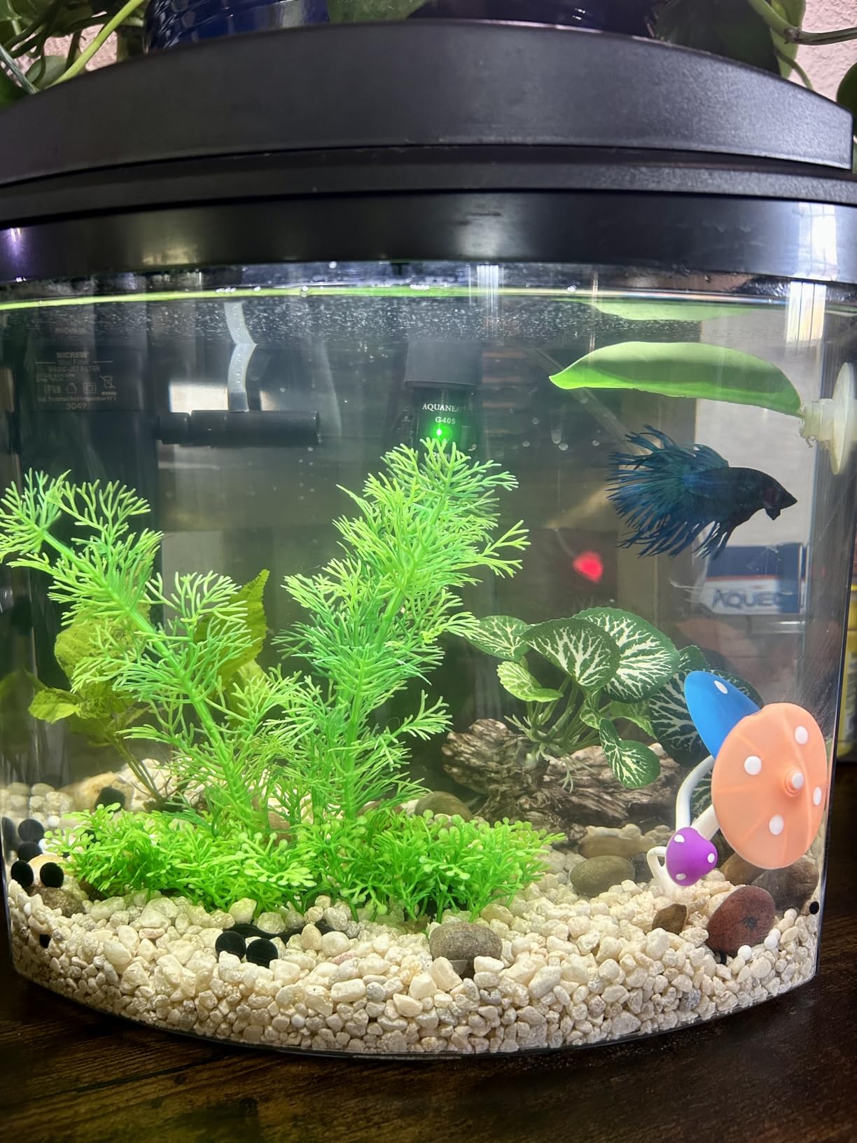 NICREW Internal Aquarium Filter for Fish Tank up to 5 Gallons, 40 GPH | Dual Water Outlet Design, Better Water Circulation, Adjustable Air Regulator, Ideal for Freshwater and Saltwater Aquariums customer photo 2
