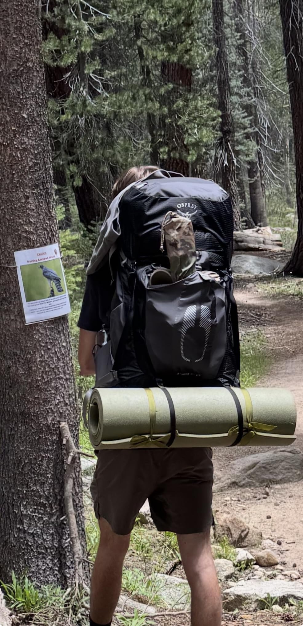 Osprey Atmos AG 65L Men's Backpacking Backpack, Black L-XL customer photo 2