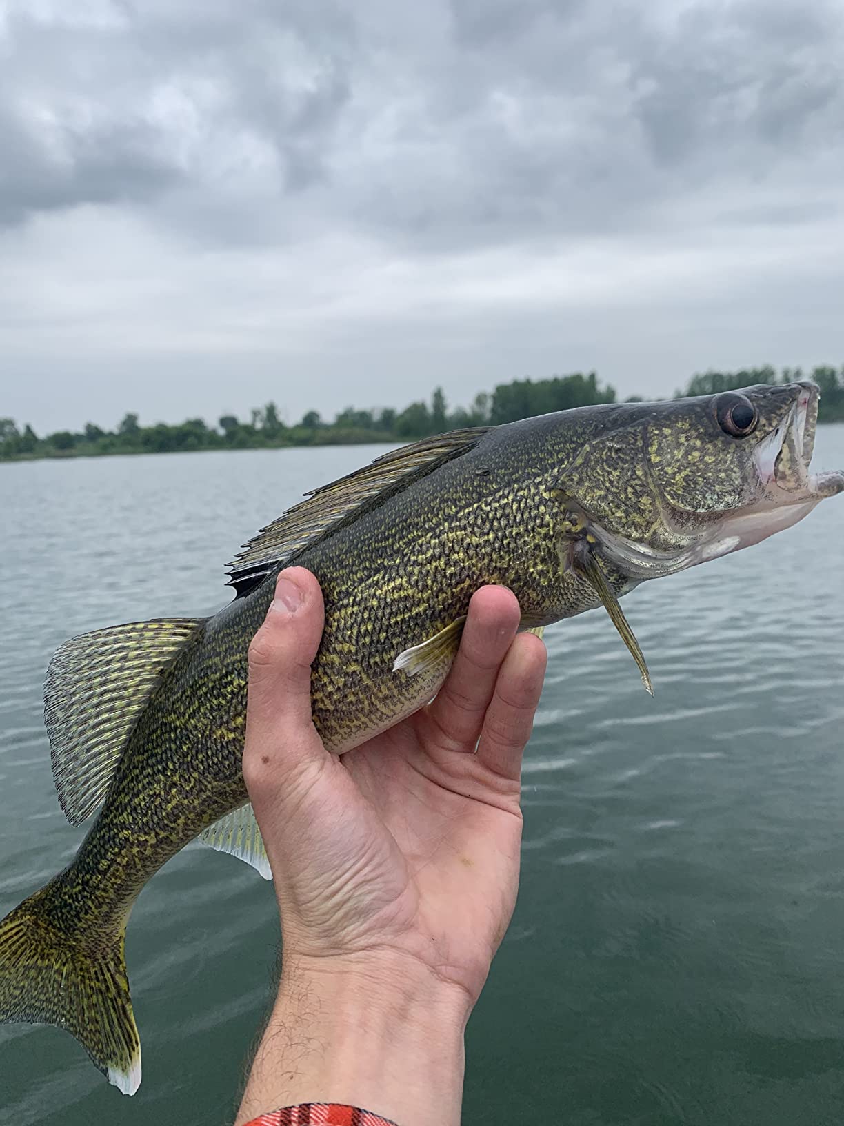 St. Croix Rods Panfish Series Spinning Rod, PNS, Durably Sensitive, Expertly Crafted Spinning Rod customer photo 1