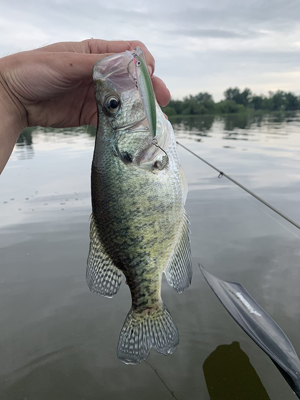 St. Croix Rods Panfish Series Spinning Rod, PNS, Durably Sensitive, Expertly Crafted Spinning Rod customer photo 2