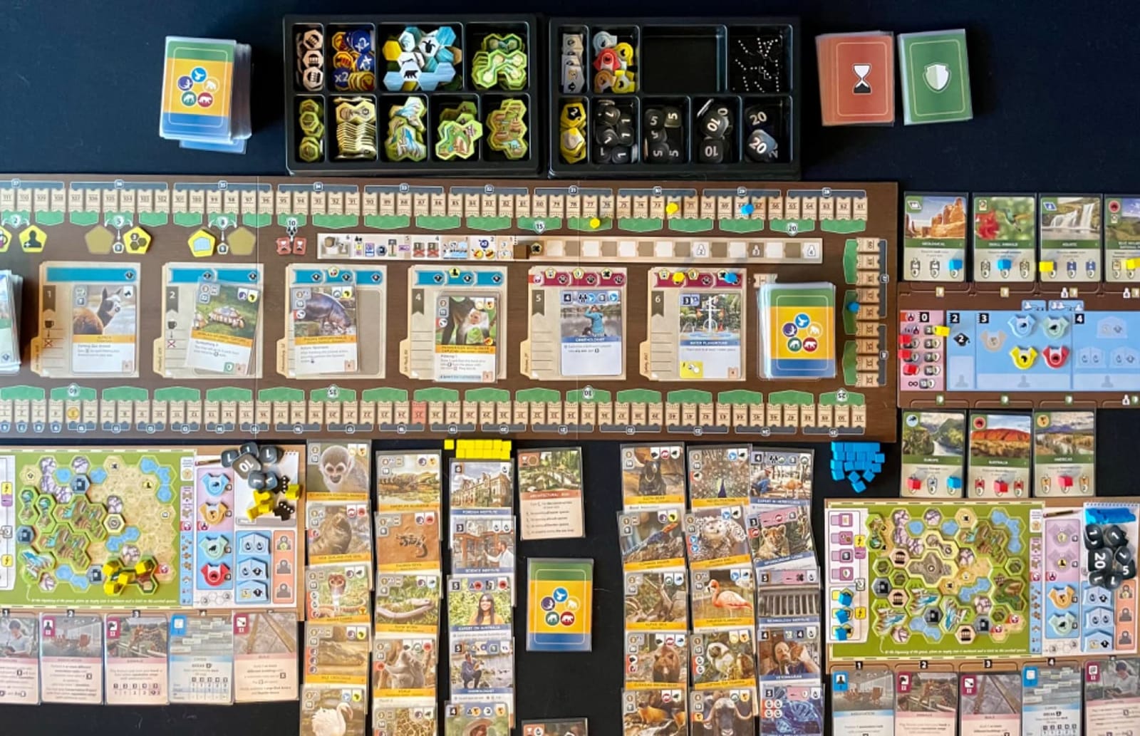 Capstone Games Ark Nova Zoo Management Strategy Board Game for 1-4 Players customer photo 2