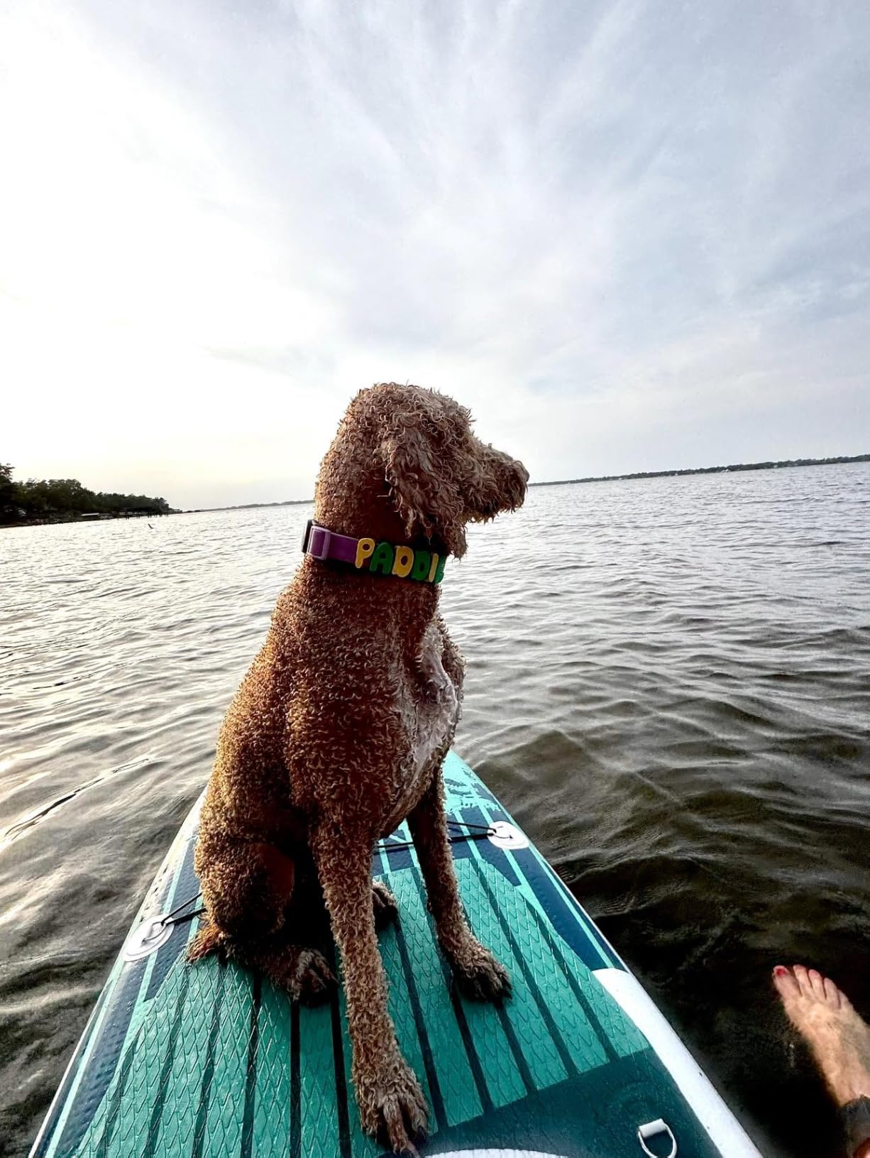 Inflatable Stand-Up Paddle Board: Wide SUP with Full Accessories, Anti-Slip EVA Deck, Paddleboard for Yoga/Surfing/Fishing & More, for Youth & Adults, Beginner-Friendly customer photo 1