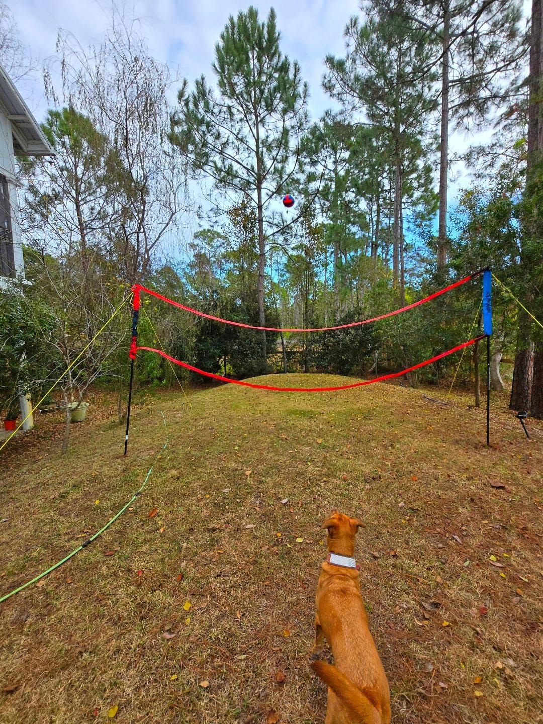 Outdoor Volleyball Net for Backyard, 32FT Anti-Sag Net with Steel Poles customer photo 1