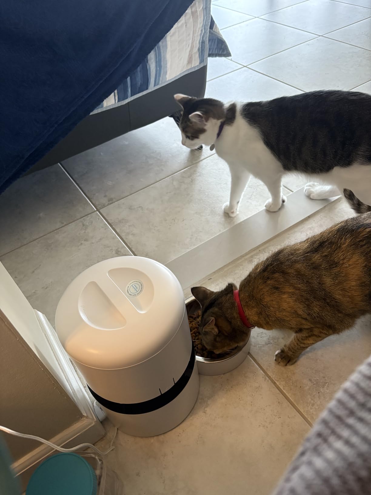 PETLIBRO Automatic Cat Feeder, 5G WiFi Automatic Dog Food Dispenser with Freshness Preservation, 5L Timed Pet Feeder with Low Food Sensor, Up to 10 Meals Per Day, Granary Black customer photo 1
