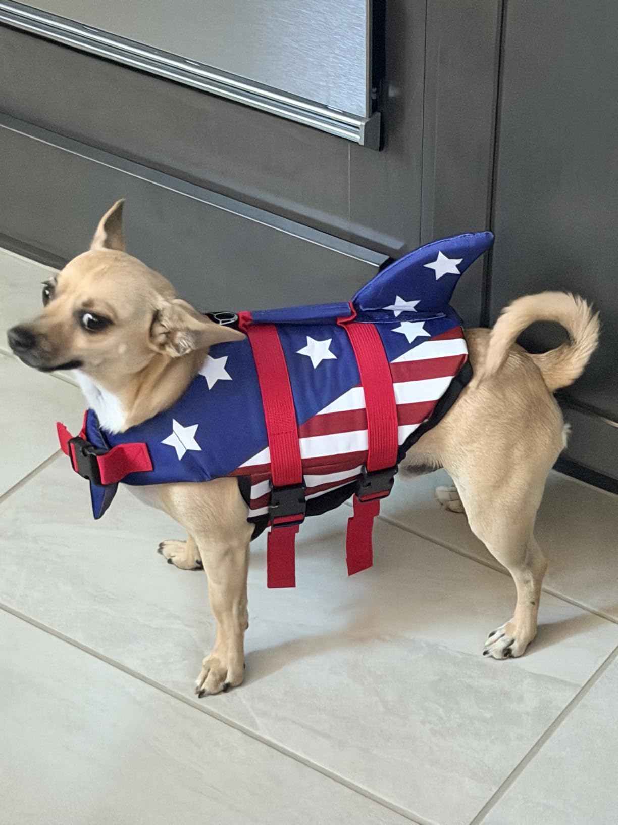 EMUST Large Dog Life Jacket, Pet Life Vests for Swimming, Small/Medium/Large Dog Flotation Vest with Rescue Handle for Water at Pool, Beach, Boating (XL,Pool Blue) customer photo 2