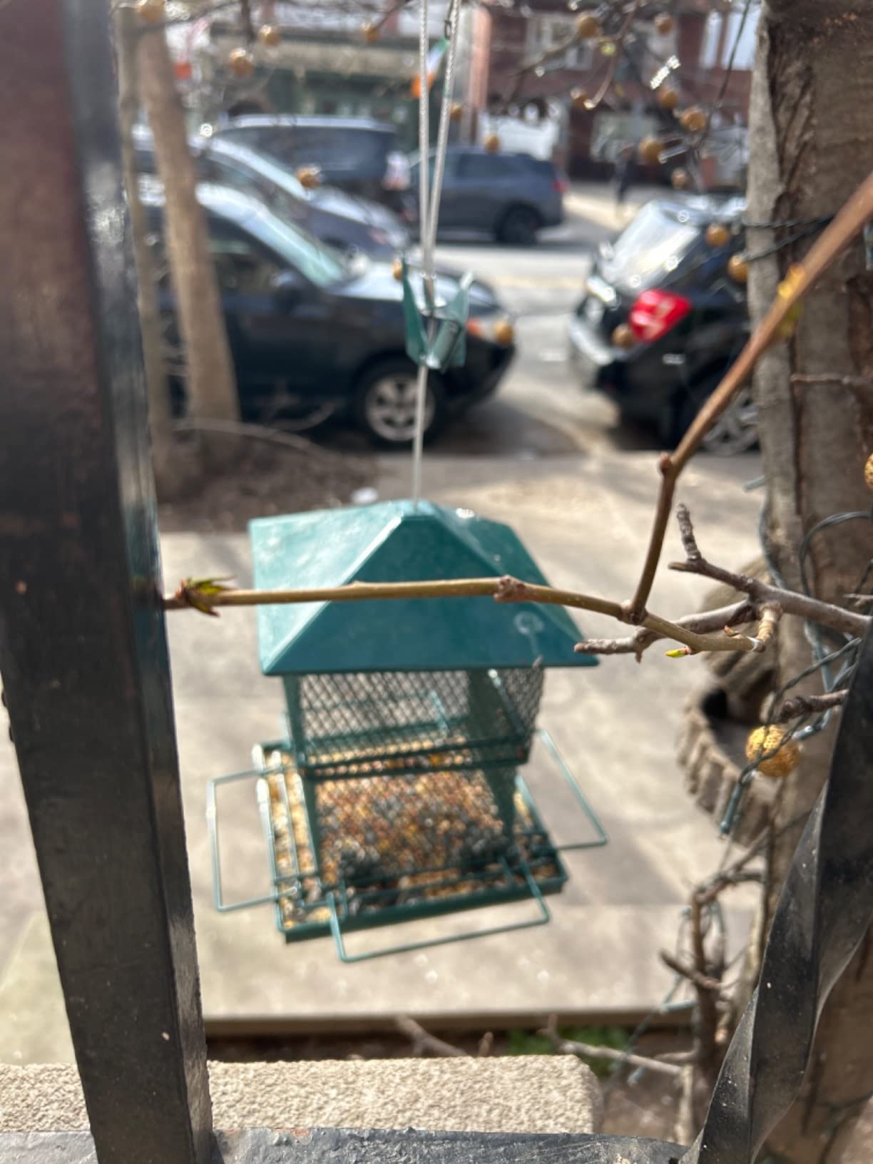 Bird Feeders for Outdoors, 6.5lb Large Capacity, Heavy Duty Metal Bird Feeder, Supports Cardinal, Finch, Blue Jay and Wild Birds(Green) customer photo 2