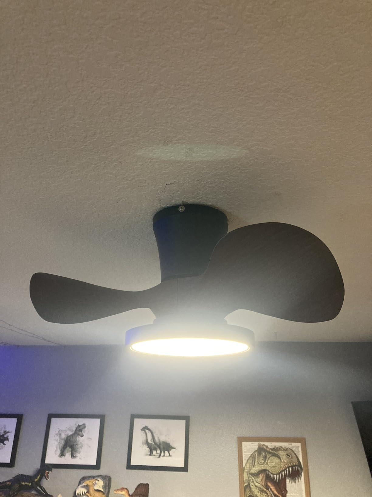 ocioc Quiet Ceiling Fan with LED Light 22 inch Large Air Volume Remote Control for Kitchen Bedroom Dining Room Patio customer photo 1