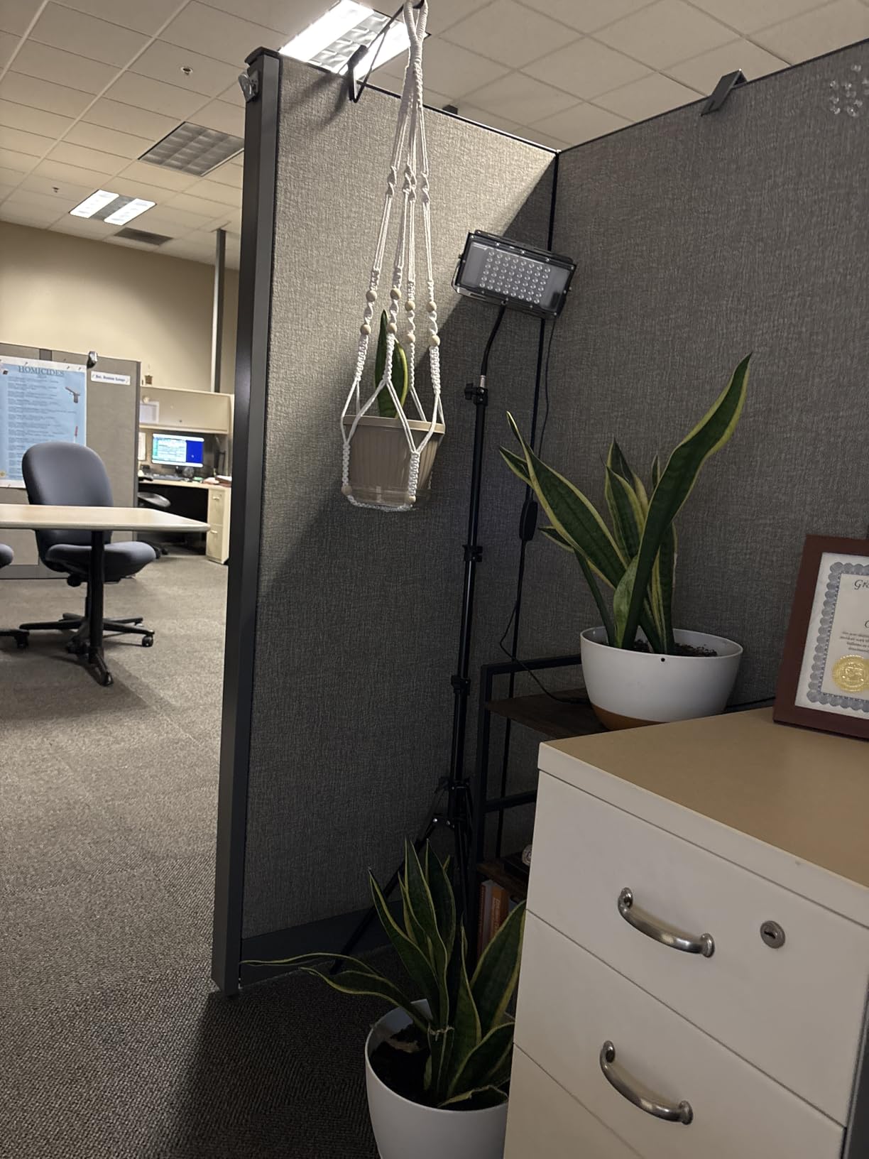 LBW Grow Light with Stand, Full Spectrum Floor Grow Light for Indoor Plants customer photo 1