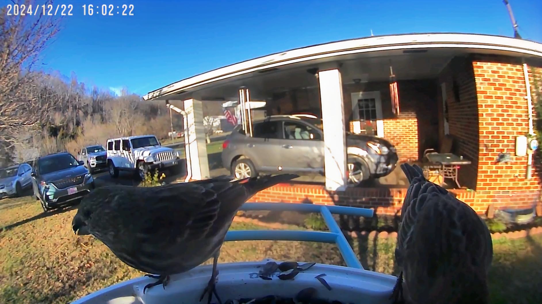 NETVUE by Birdfy Smart Bird Feeder with 2K AI Camera customer photo 1
