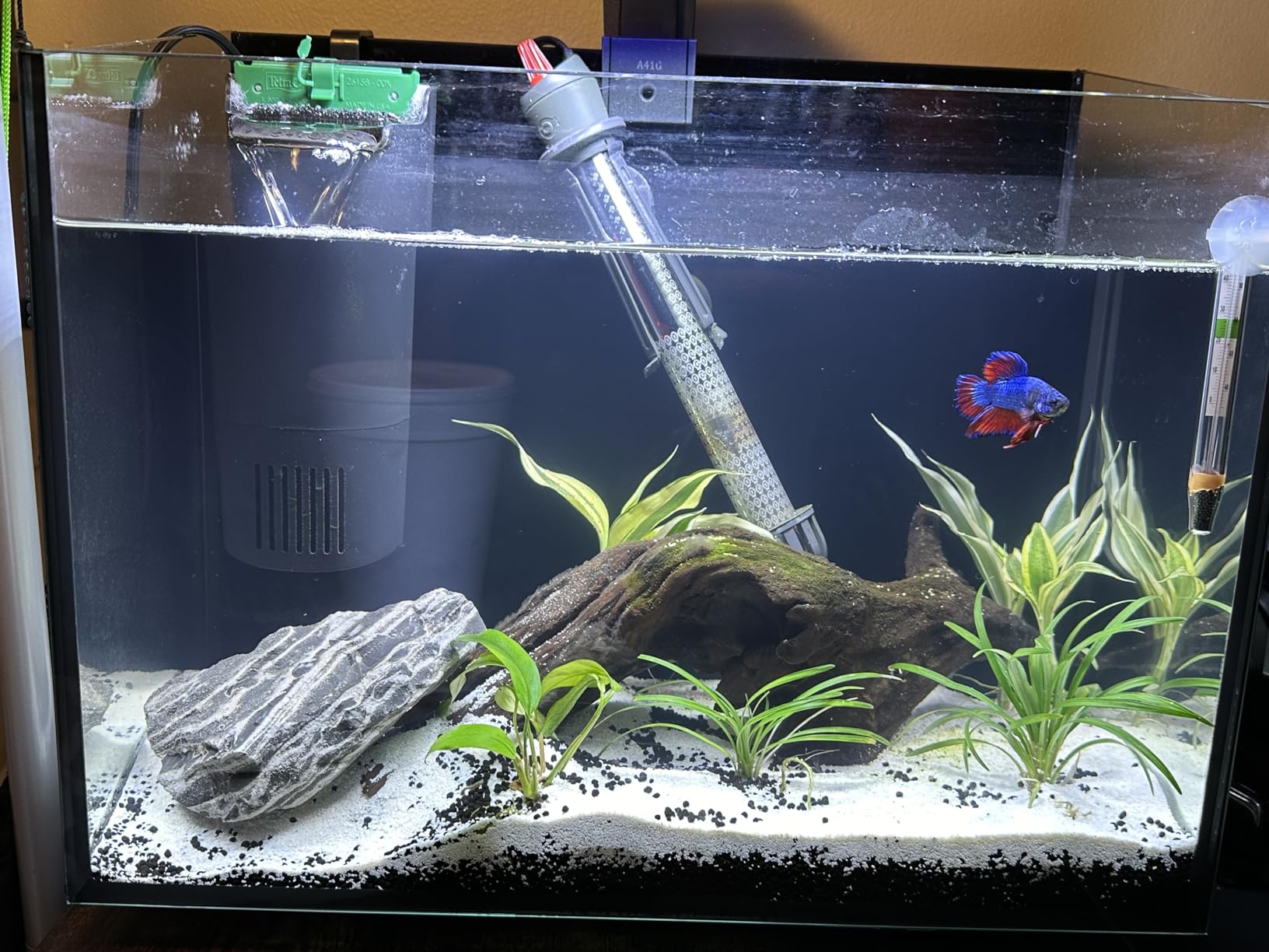 HITOP Mini Submersible Aquarium Heater -50W Digital Heater for Fish Tank Turtle Tank, for Saltwater and Fresh Water with Temperature Controller customer photo 1