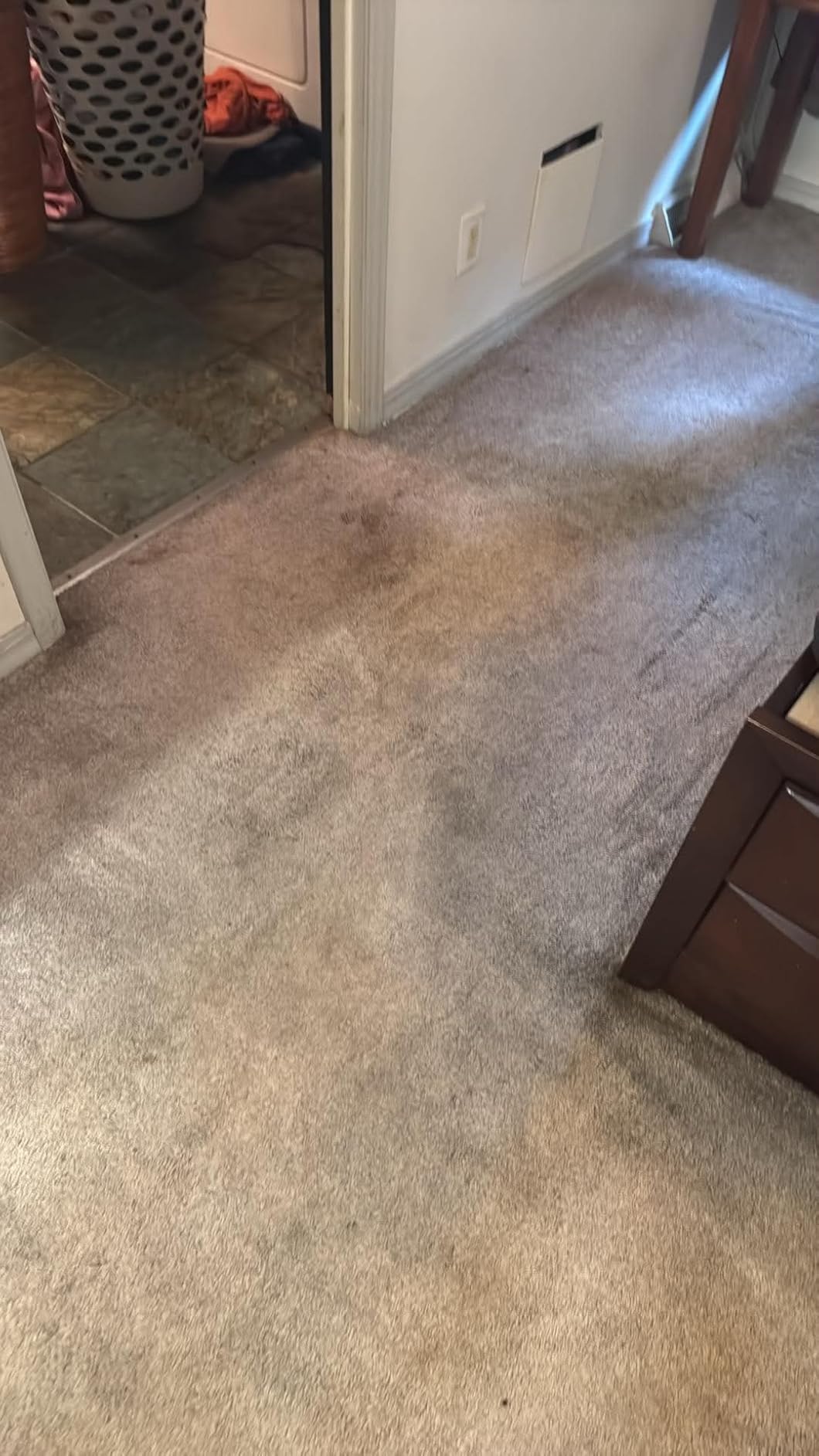 BISSELL ProHeat 2X Revolution Pet Pro Plus Carpet Cleaner, 3588F customer photo 1