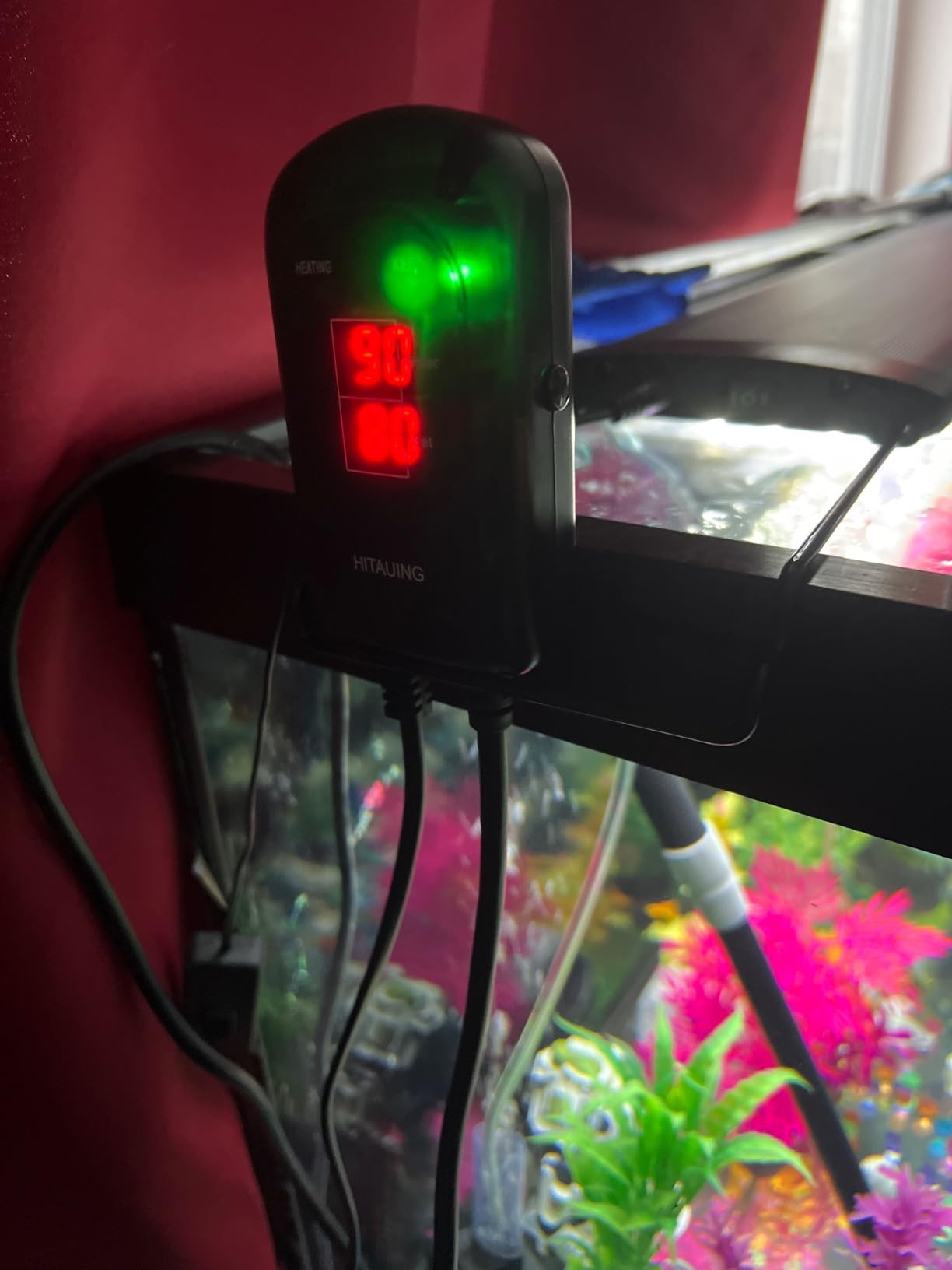 HiTauing Aquarium Heater, 300W Fish Tank Heater with LED Digital Display & 5 Safety Protection, Submersible Aquarium Heater with 2 Suction Cup and 8.2Ft Cord for 40-75 Gallon Fish Tank. customer photo 2