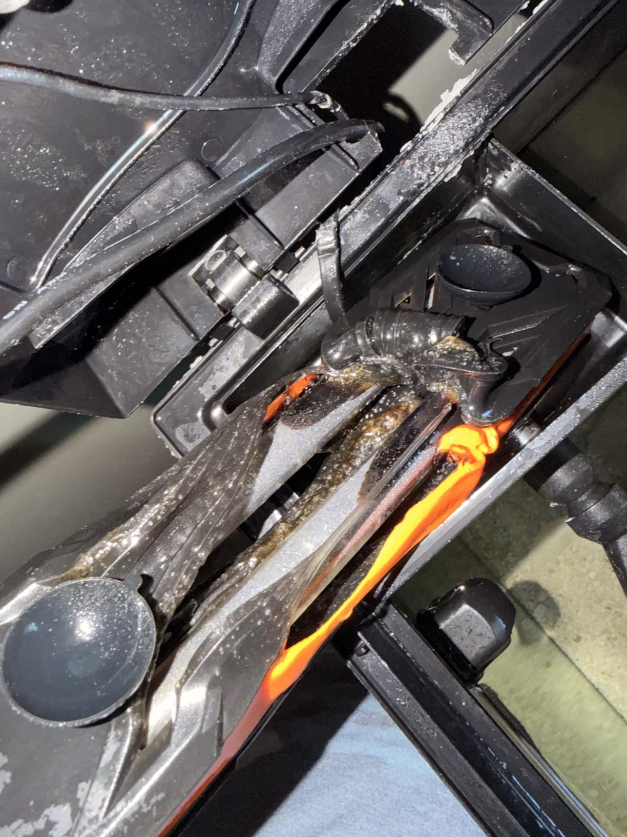 hygger Aquarium Heater 300W/500W/800W/1000W, Submersible Fish Tank Heater customer photo 1