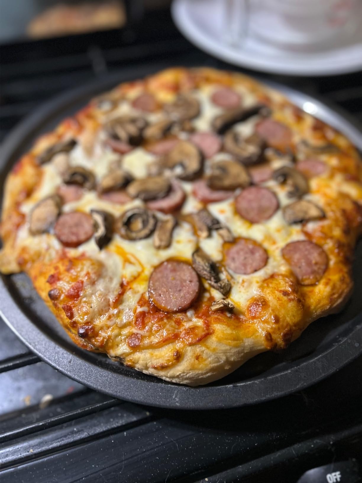 Outdoor Wood-Fired Pizza Oven Patio Pizza Maker for Backyard customer photo 1