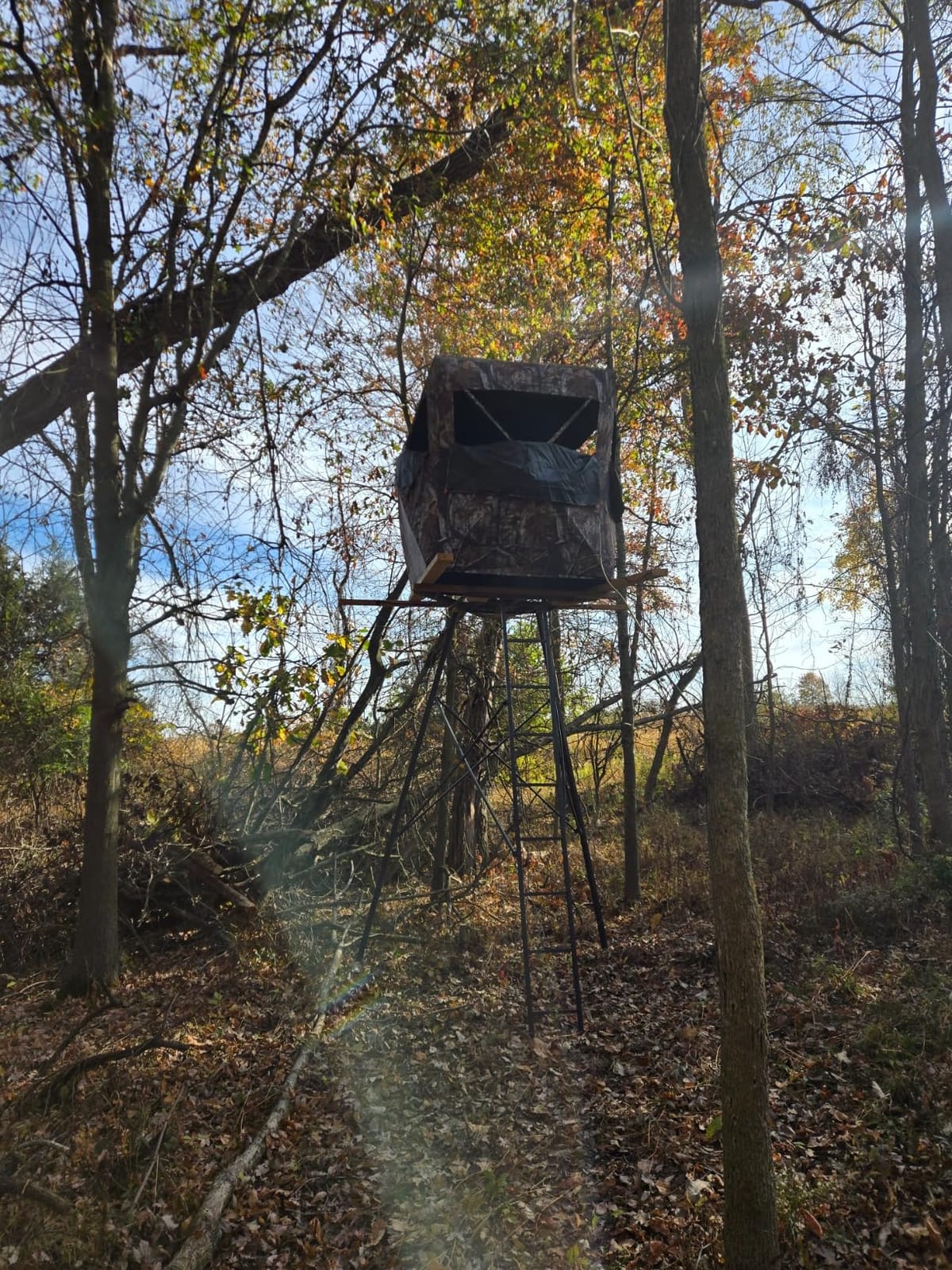 THUNDERBAY SPUR Collector 3 Person Hunting Blind, Portable Ground Blind with Silent Windows, Portable Durable Hunting Tent for Deer & Turkey Hunting customer photo 2