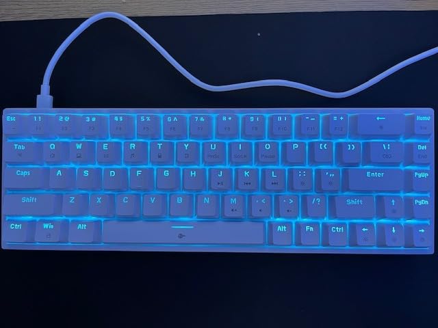 DIERYA T68SE 60% Gaming Mechanical Keyboard, Ultra Compact Mini 68 Key with Red Switches Wired Keyboard, Anti-Ghosting Keys, for Windows Laptops and PC Gamers, White customer photo 1