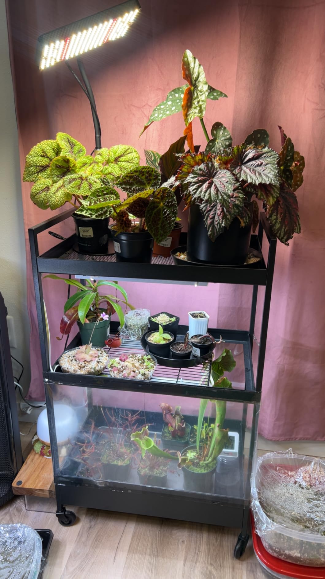 Barrina T5 Grow Lights for Indoor Plants, 5000K Full Spectrum, 1FT, 4 Packs customer photo 1