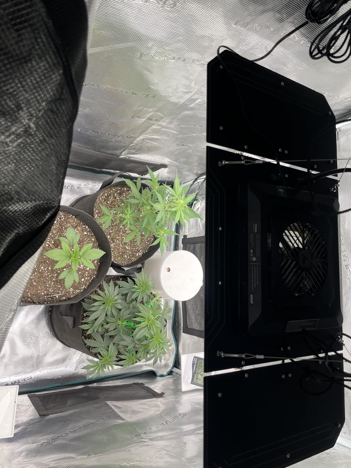 VIVOSUN AeroLight 240W LED Grow Light, Full Spectrum Plant Light with Fan customer photo 1