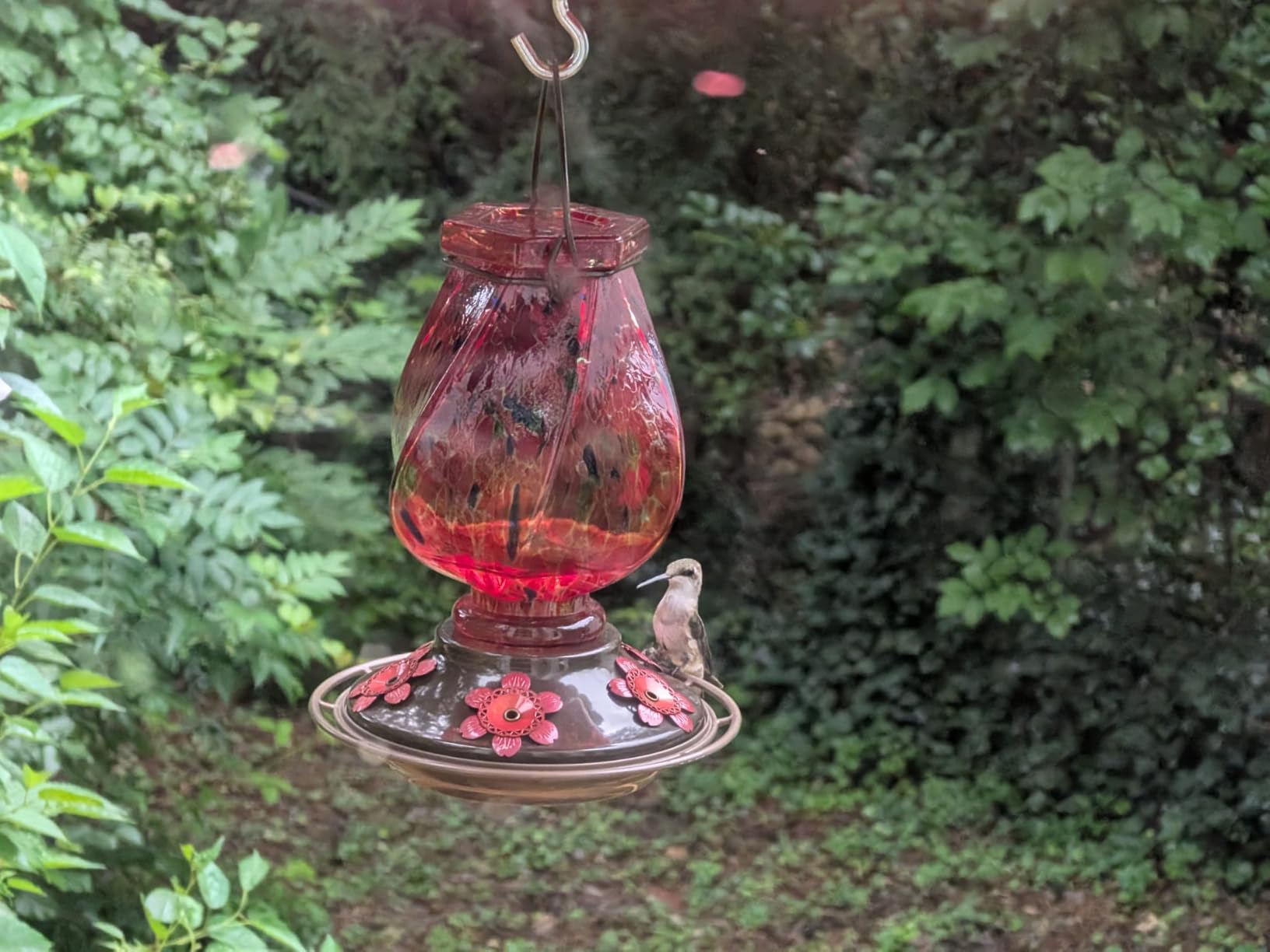 BOLITE Hummingbird Feeders for Outdoors Hanging, Hand Blown, Blue, 22oz customer photo 2