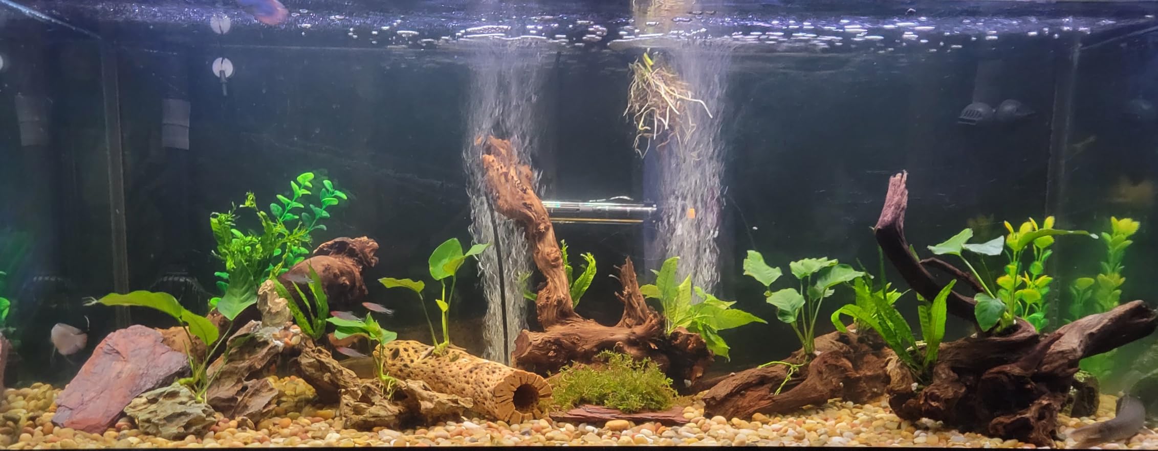 Fluval FX2 High Performance Canister Aquarium Filter | Multi-Stage Filtration, Built-in Powered Water Change System, and Basket-in-Basket Tray Design customer photo 1