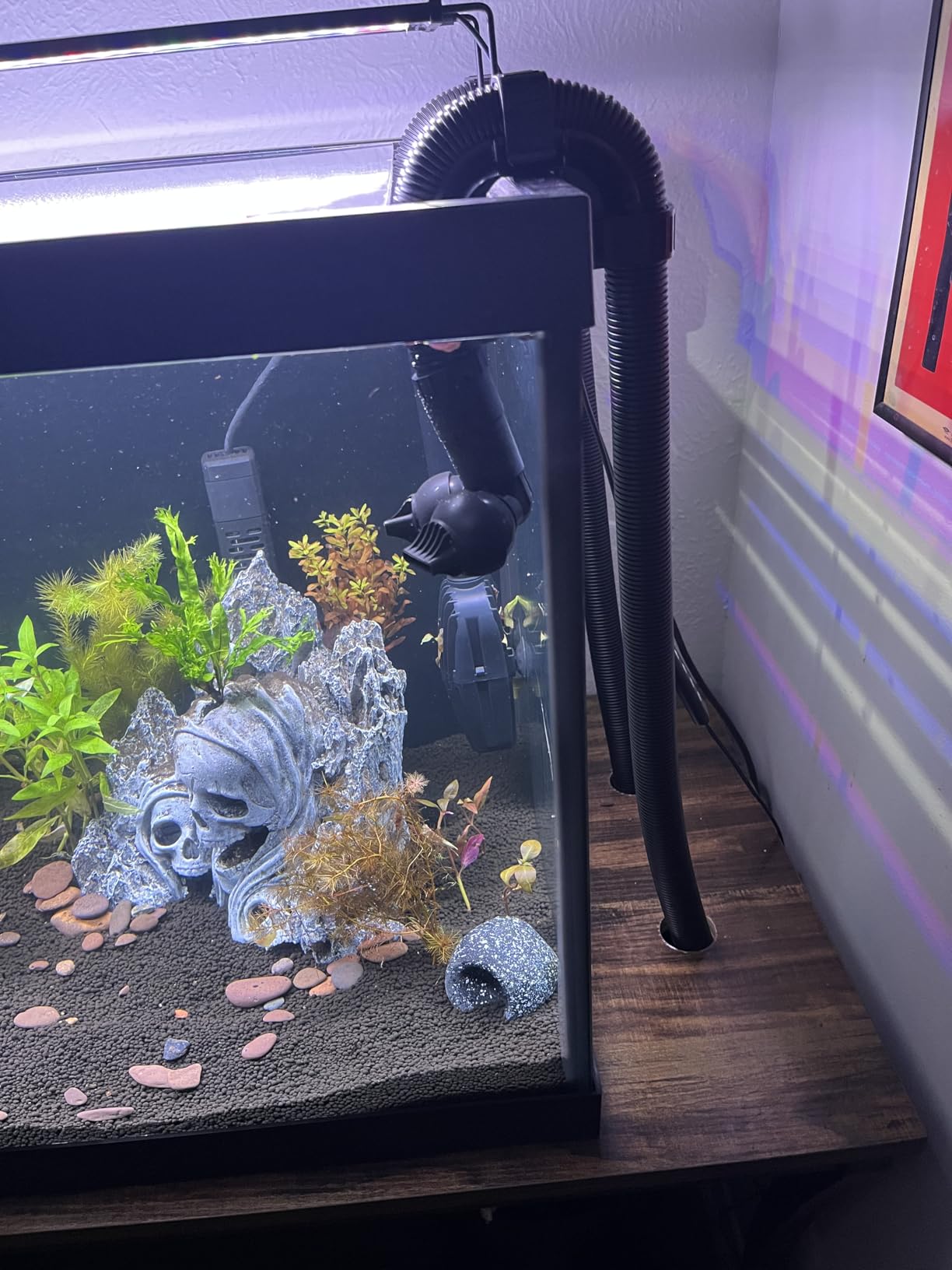 Fluval FX2 High Performance Canister Aquarium Filter | Multi-Stage Filtration, Built-in Powered Water Change System, and Basket-in-Basket Tray Design customer photo 2