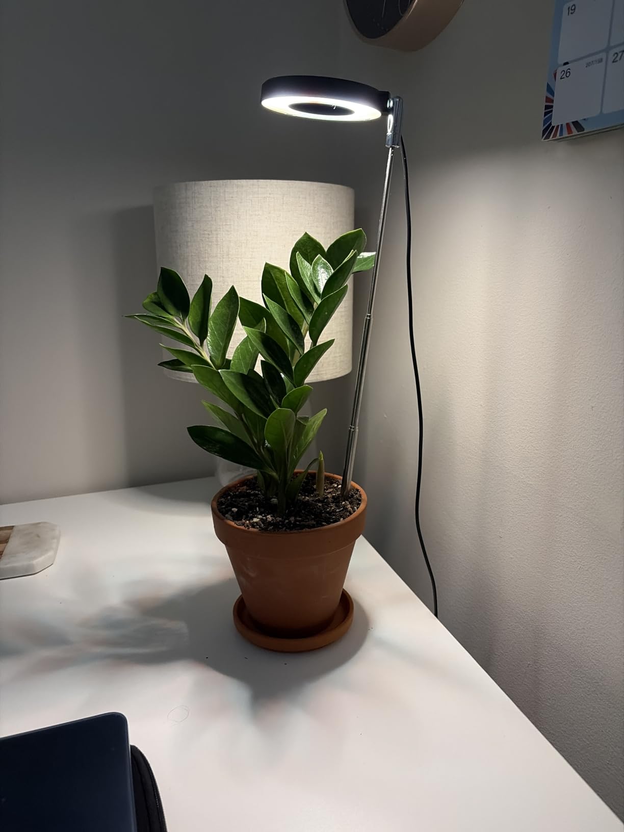 Aokrean Grow Lights for Indoor Plants, Full Spectrum Plant Light with Base customer photo 1